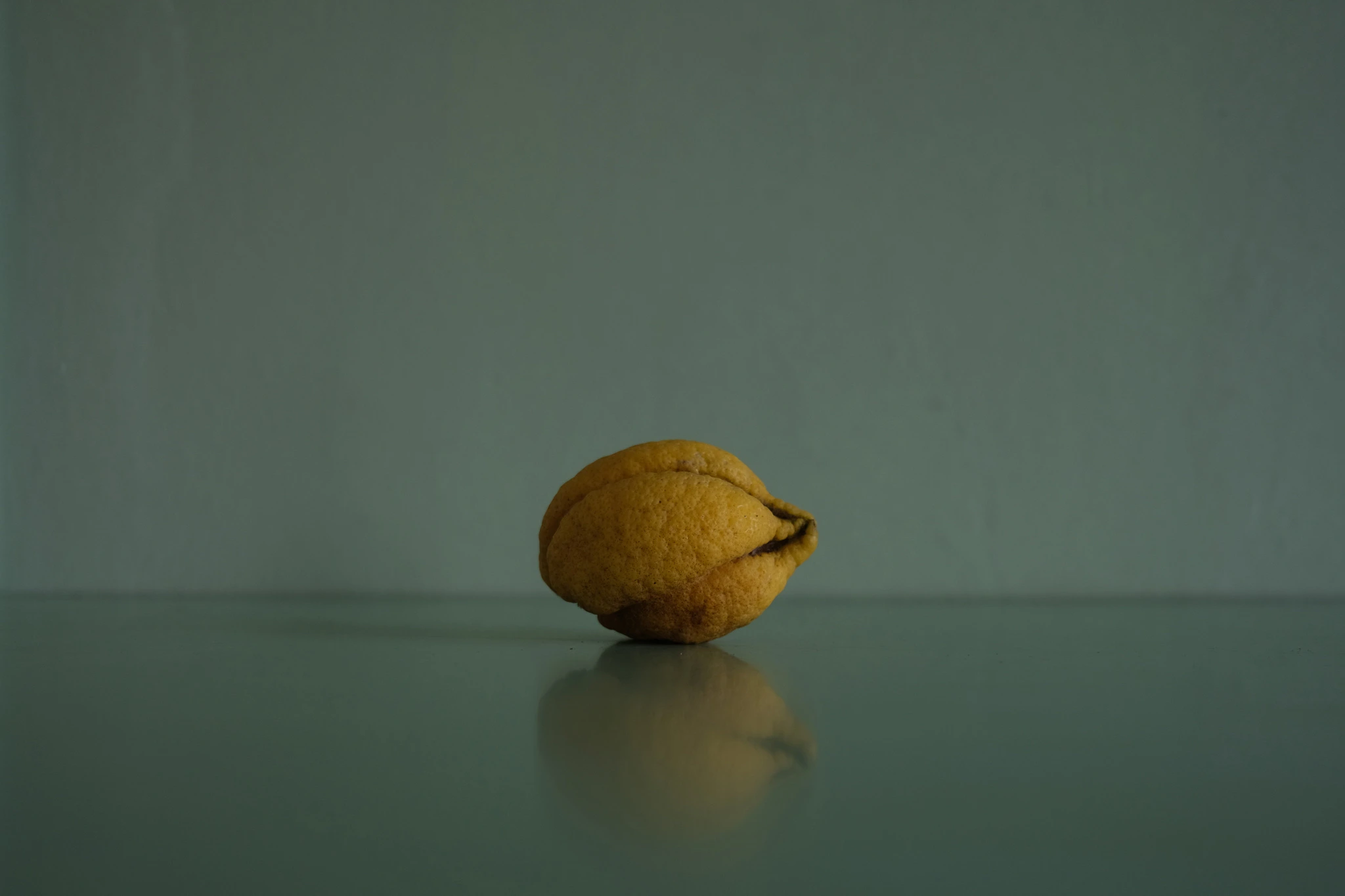 1,000 Rejected Citrons #004