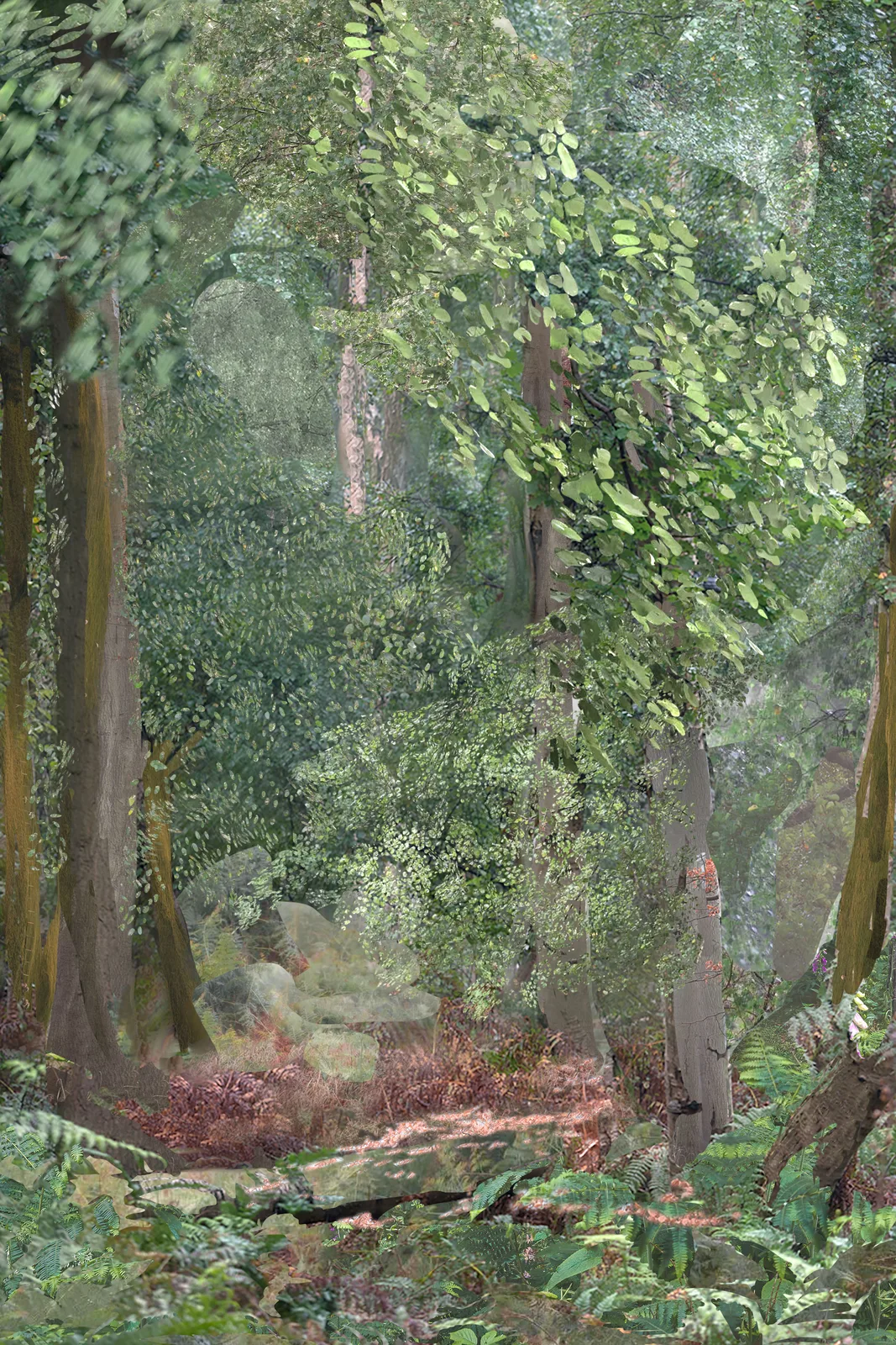 Green woods