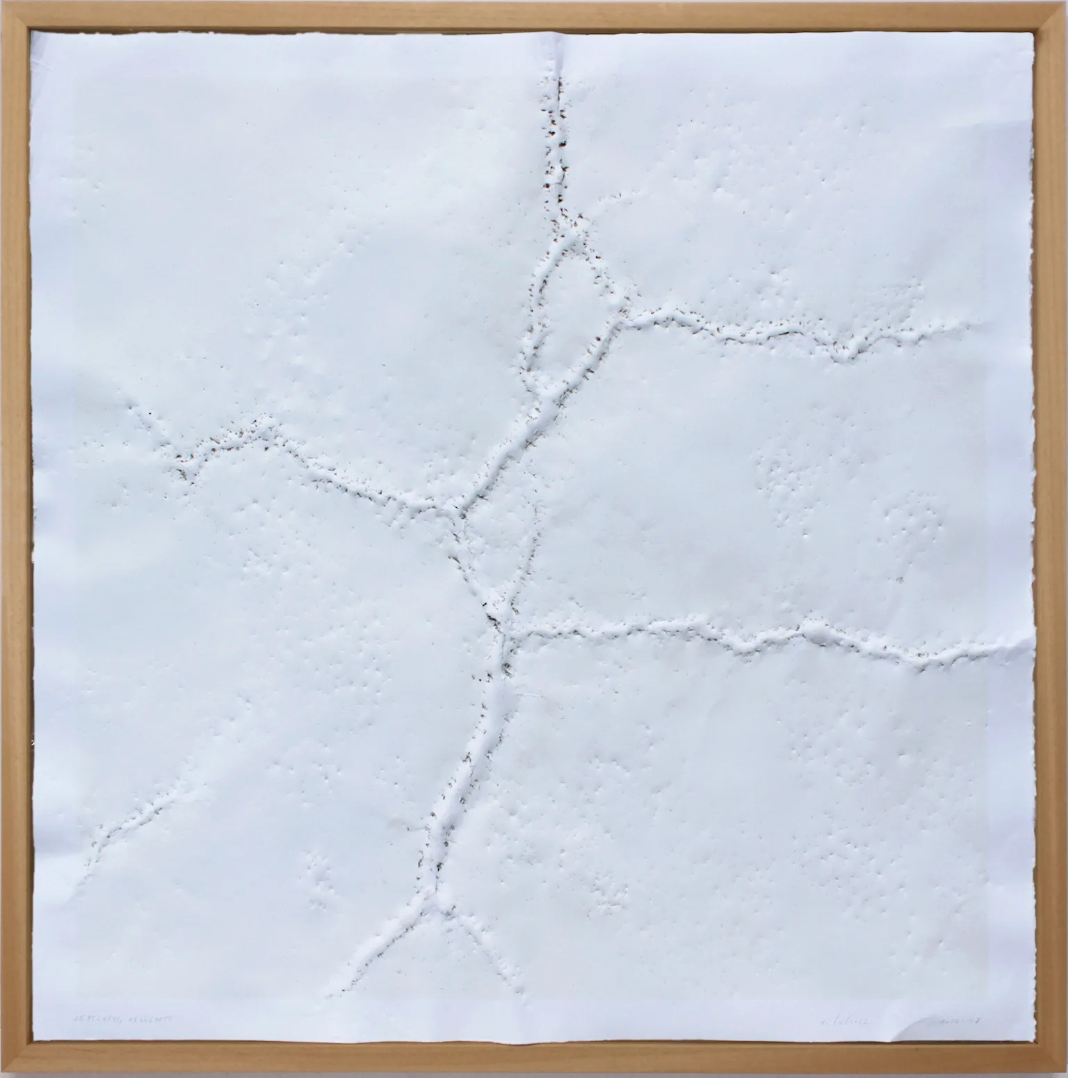 45.9526188, 13.6469855 - 14/04/2022 - 10:41:08