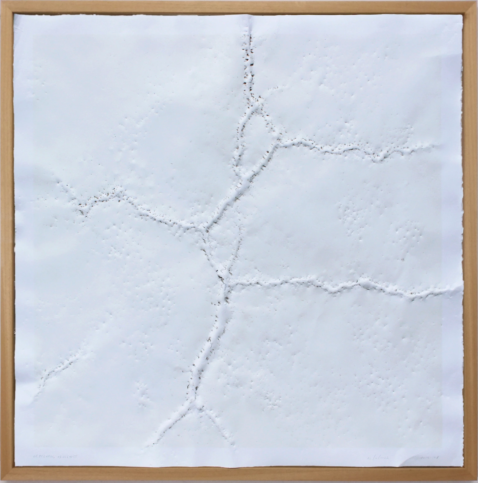 45.9526188, 13.6469855 - 14/04/2022 - 10:41:08