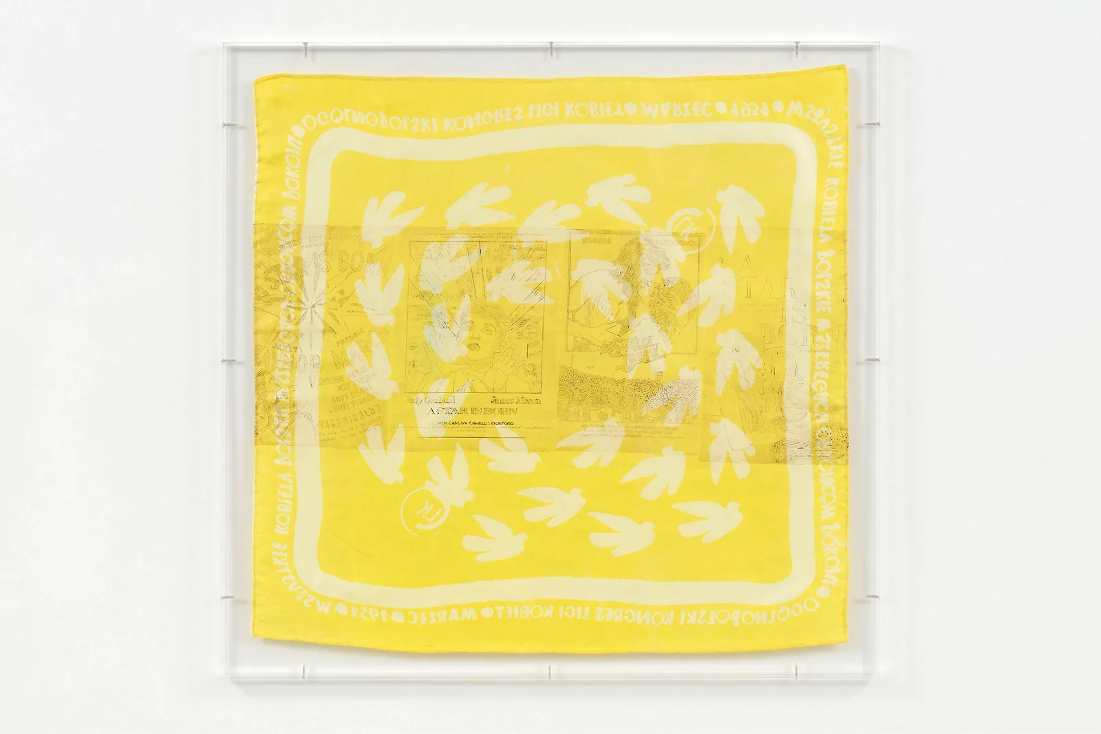 Kleine weiße Friedenstaube/ A Star is Born (chronological yellow)