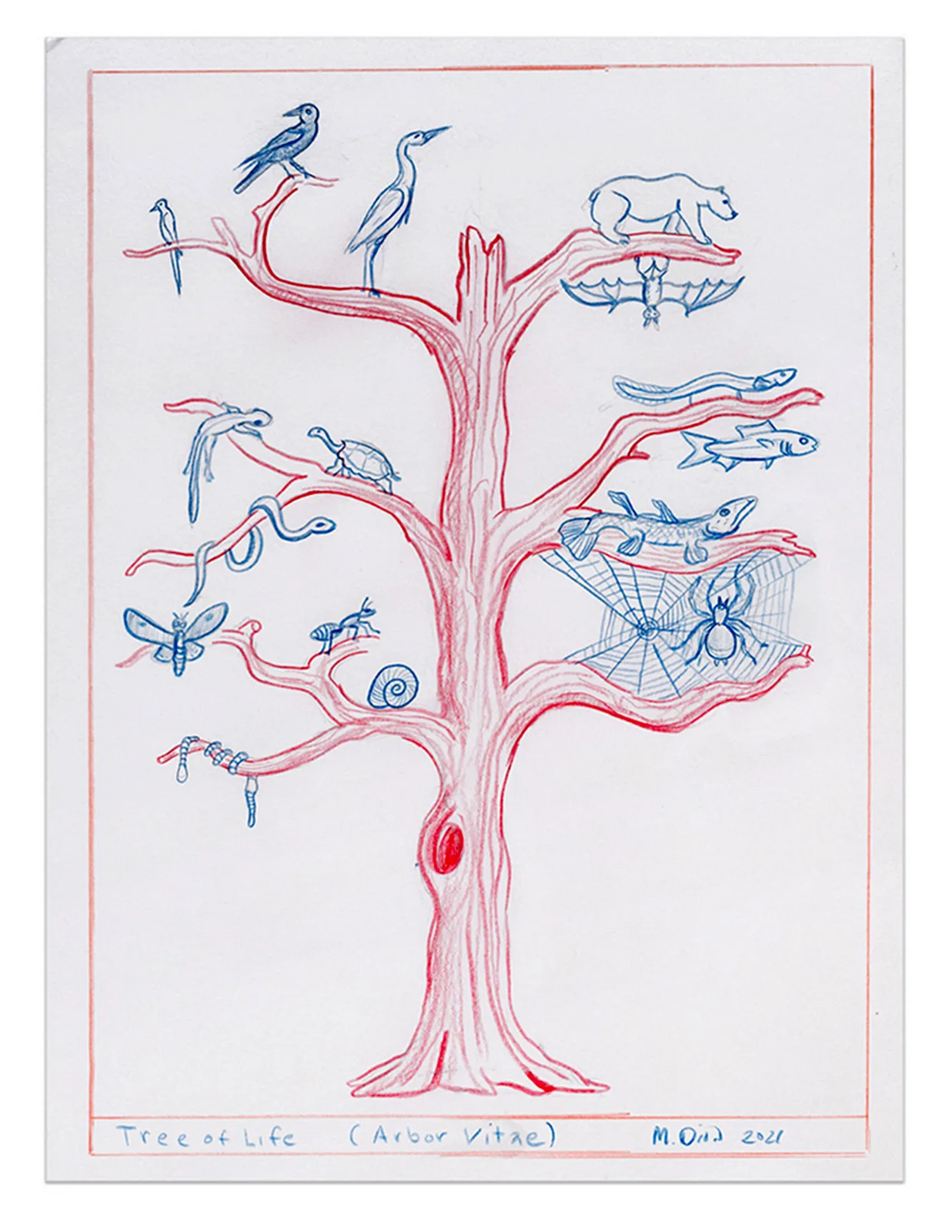 Tree of Life (Arbor Vitae)
