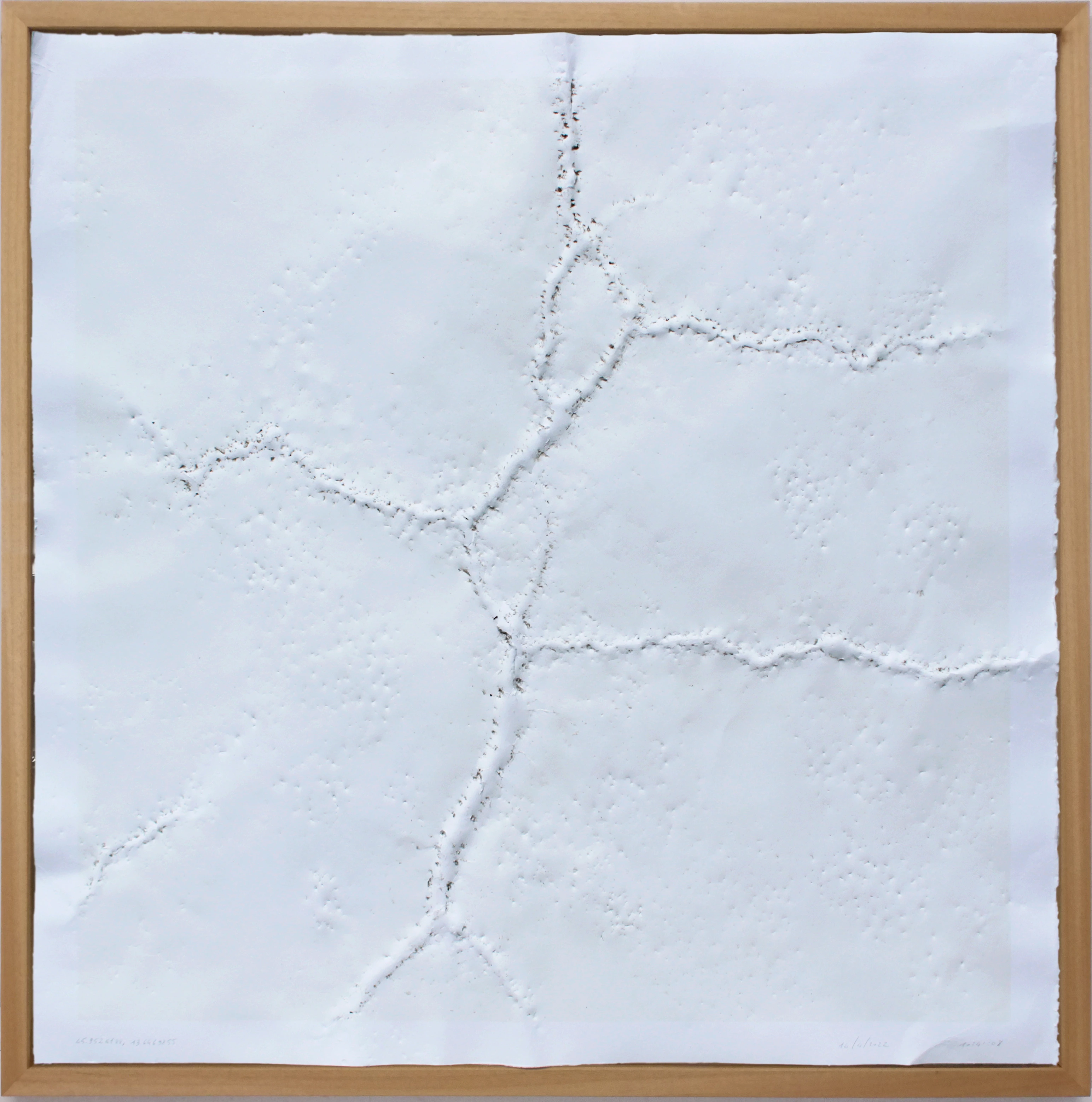 45.9526188, 13.6469855 - 14/04/2022 - 10:41:08