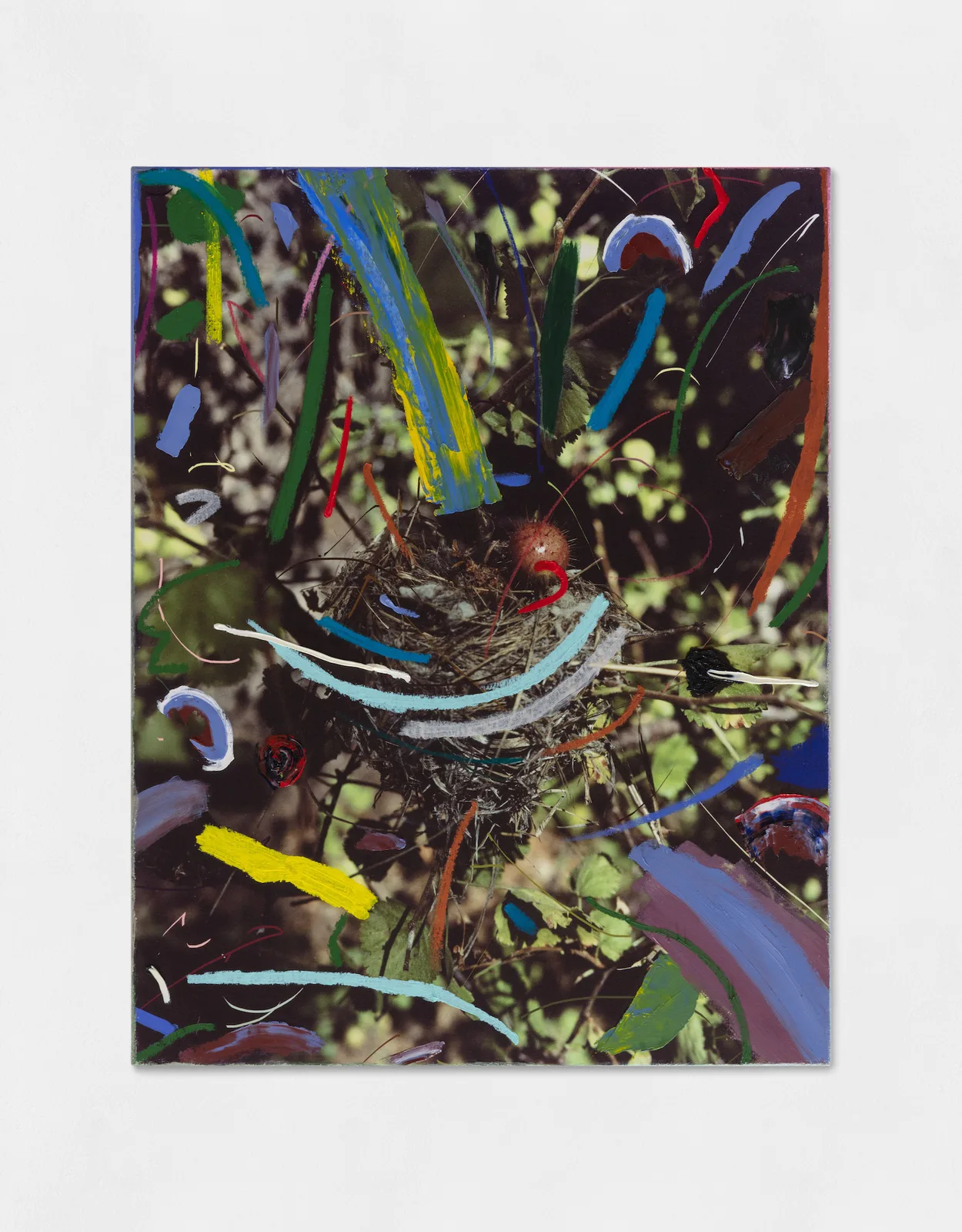 Nest