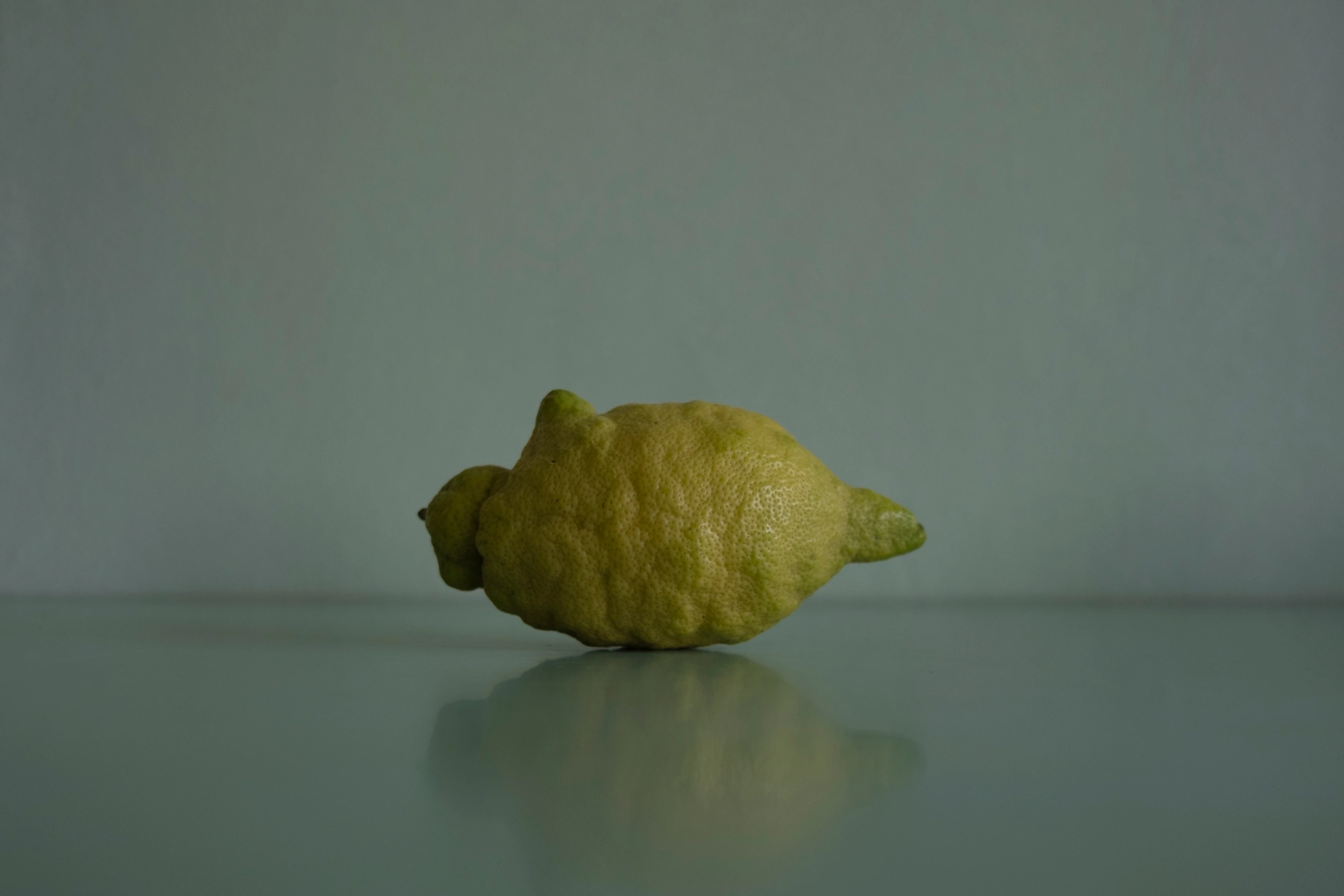 1,000 Rejected Citrons #007
