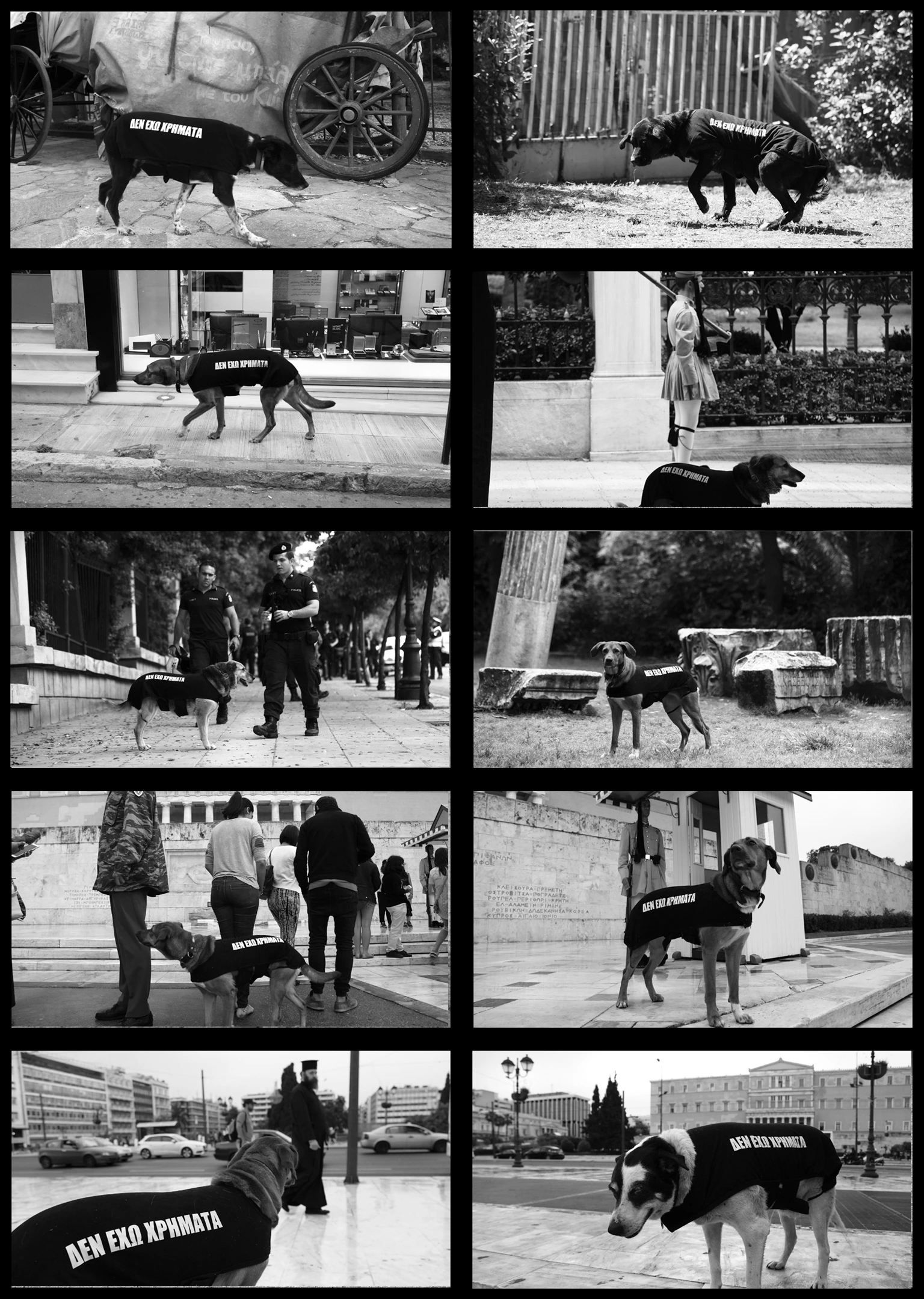 Los perros Athenienses