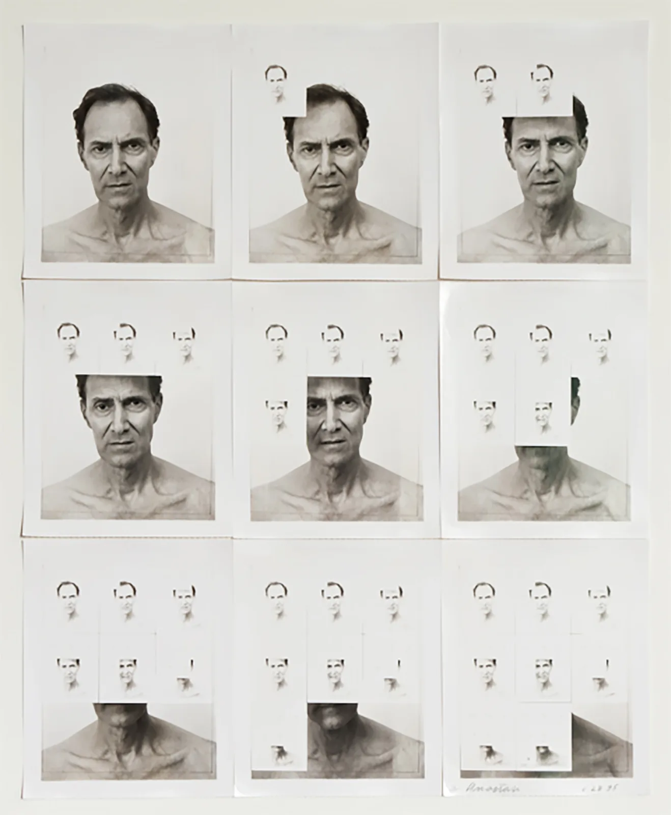 Nine polaroids of the artist