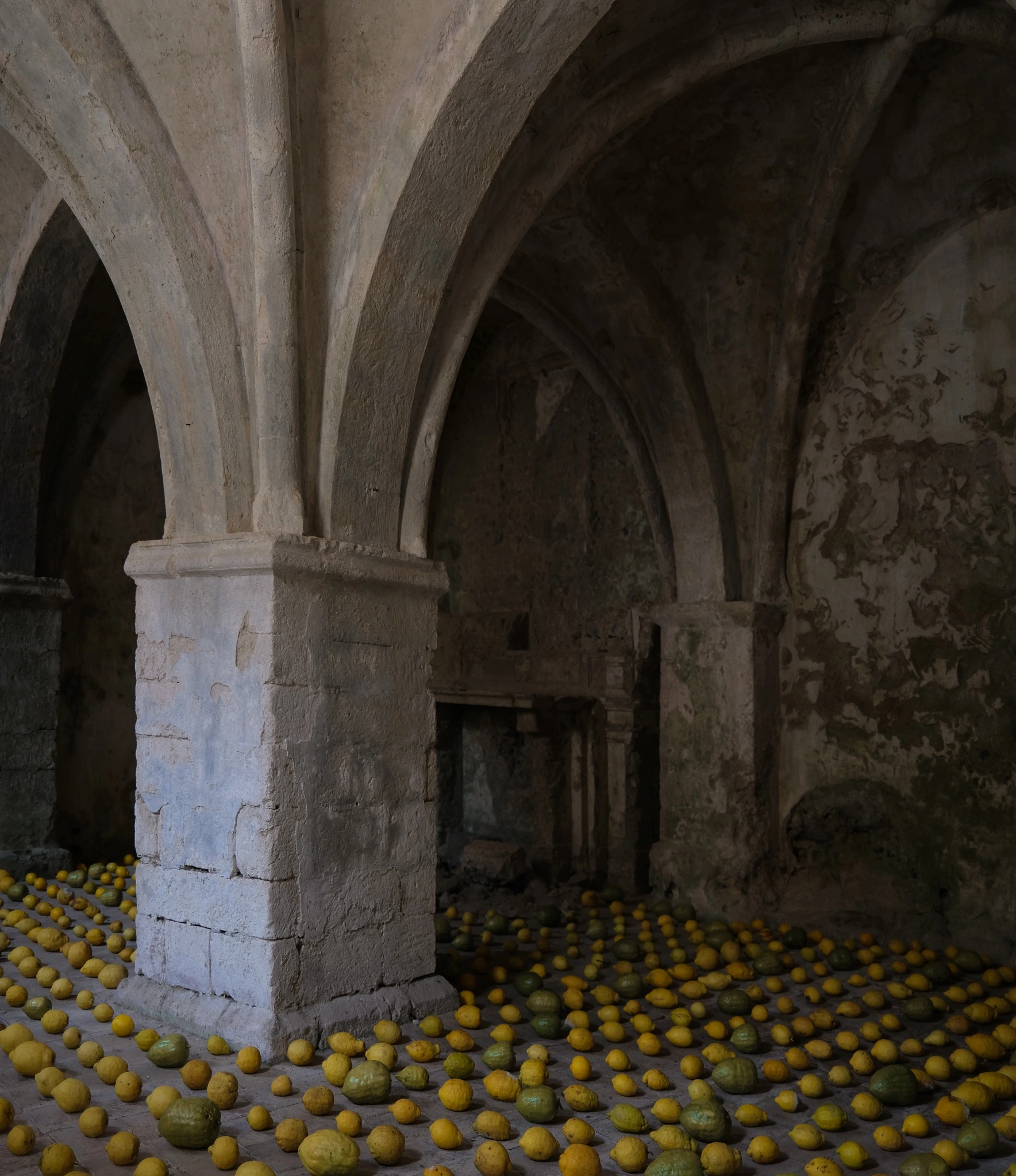 The Mausoleum of Rejected Citrons