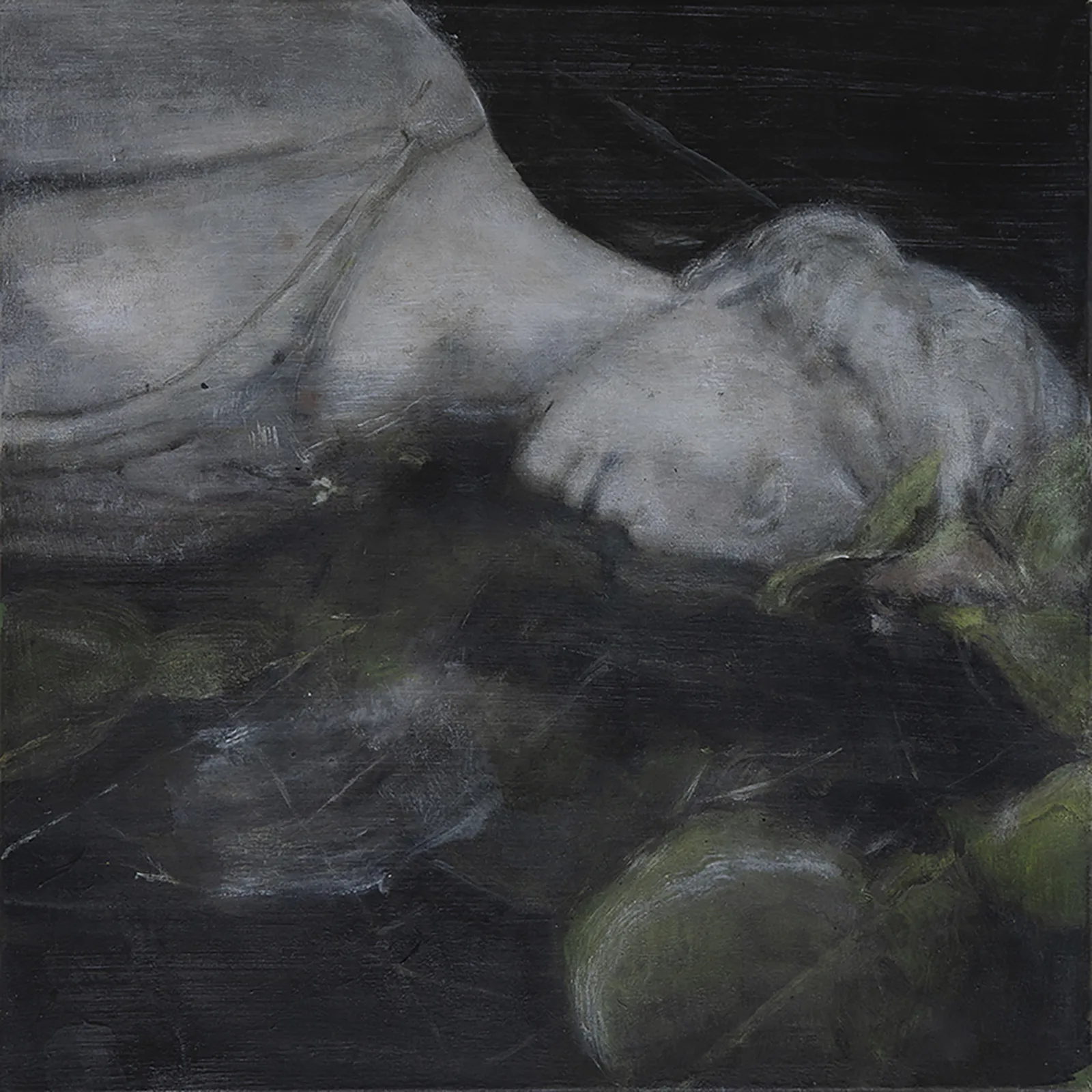 NARCISO