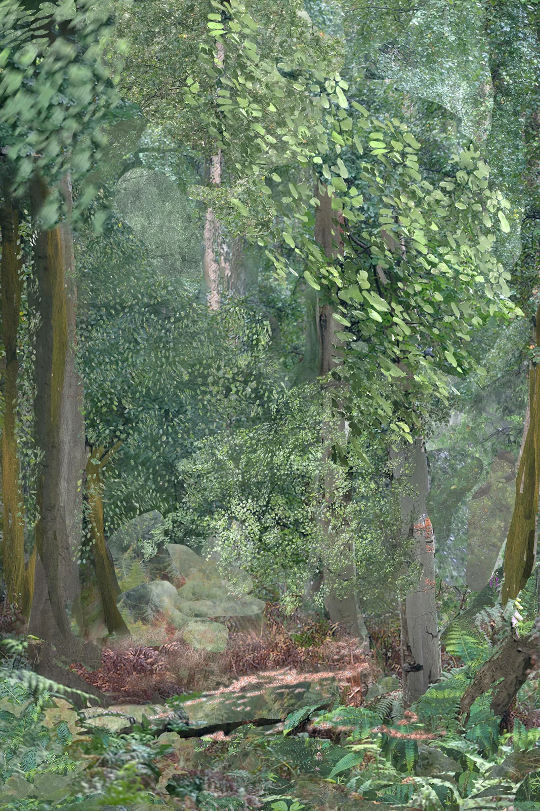 Green woods