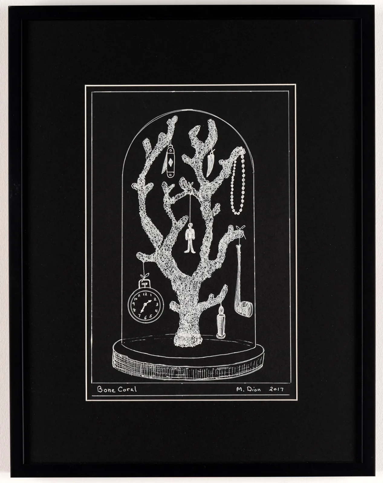 Bone Coral