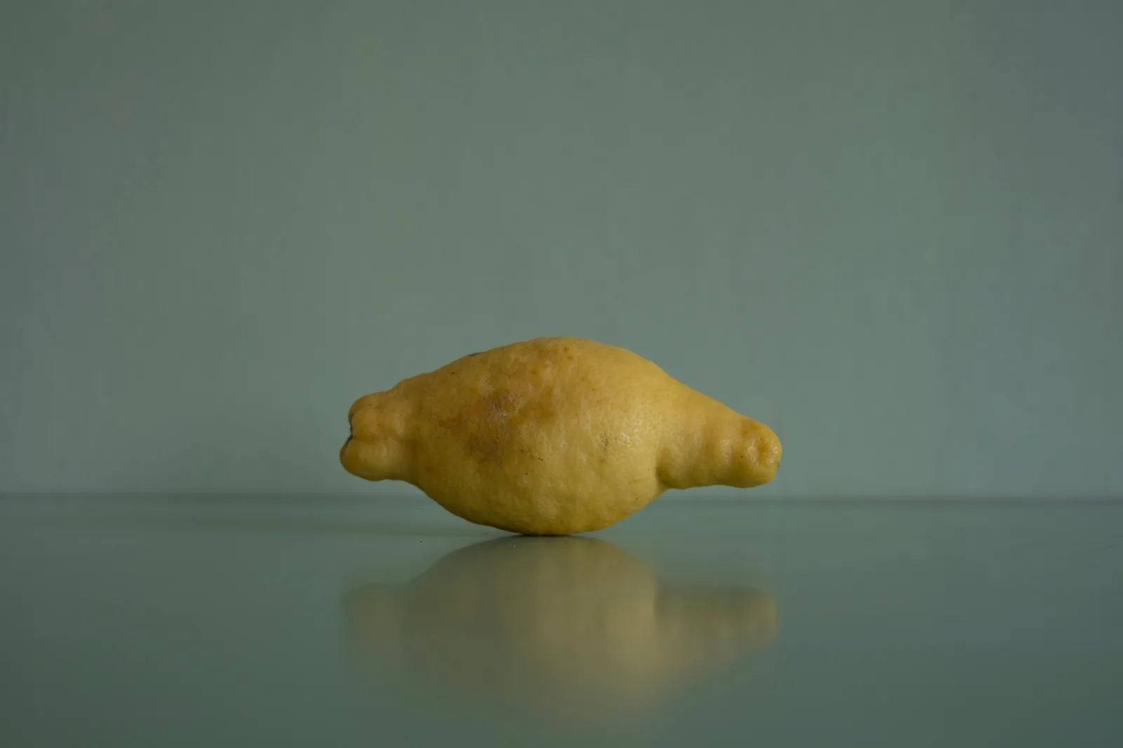 1,000 Rejected Citrons #001
