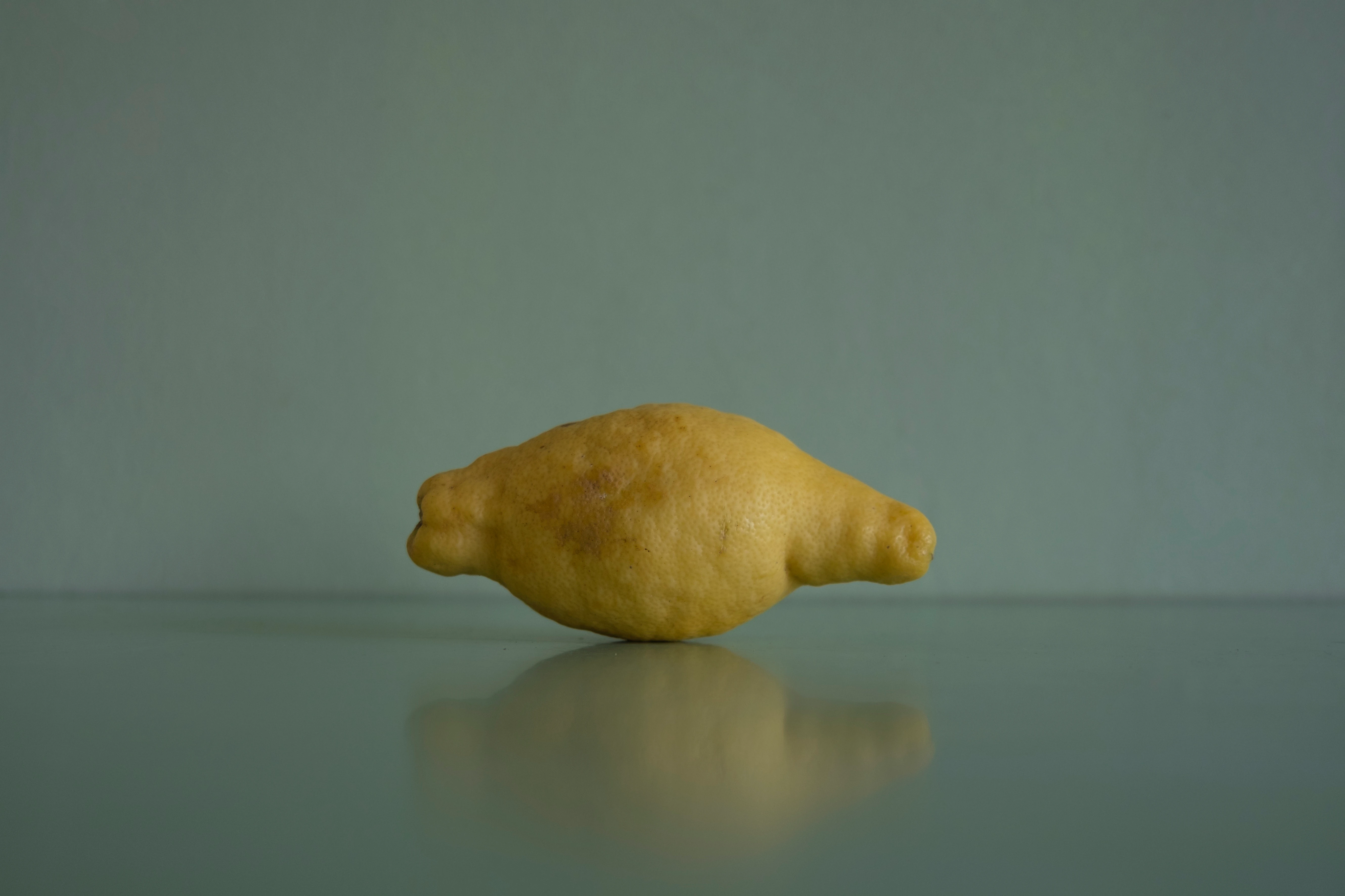 1,000 Rejected Citrons #001