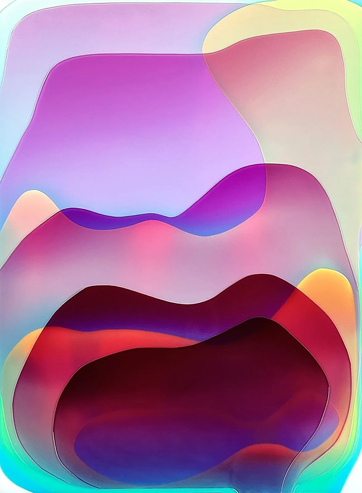 tulip