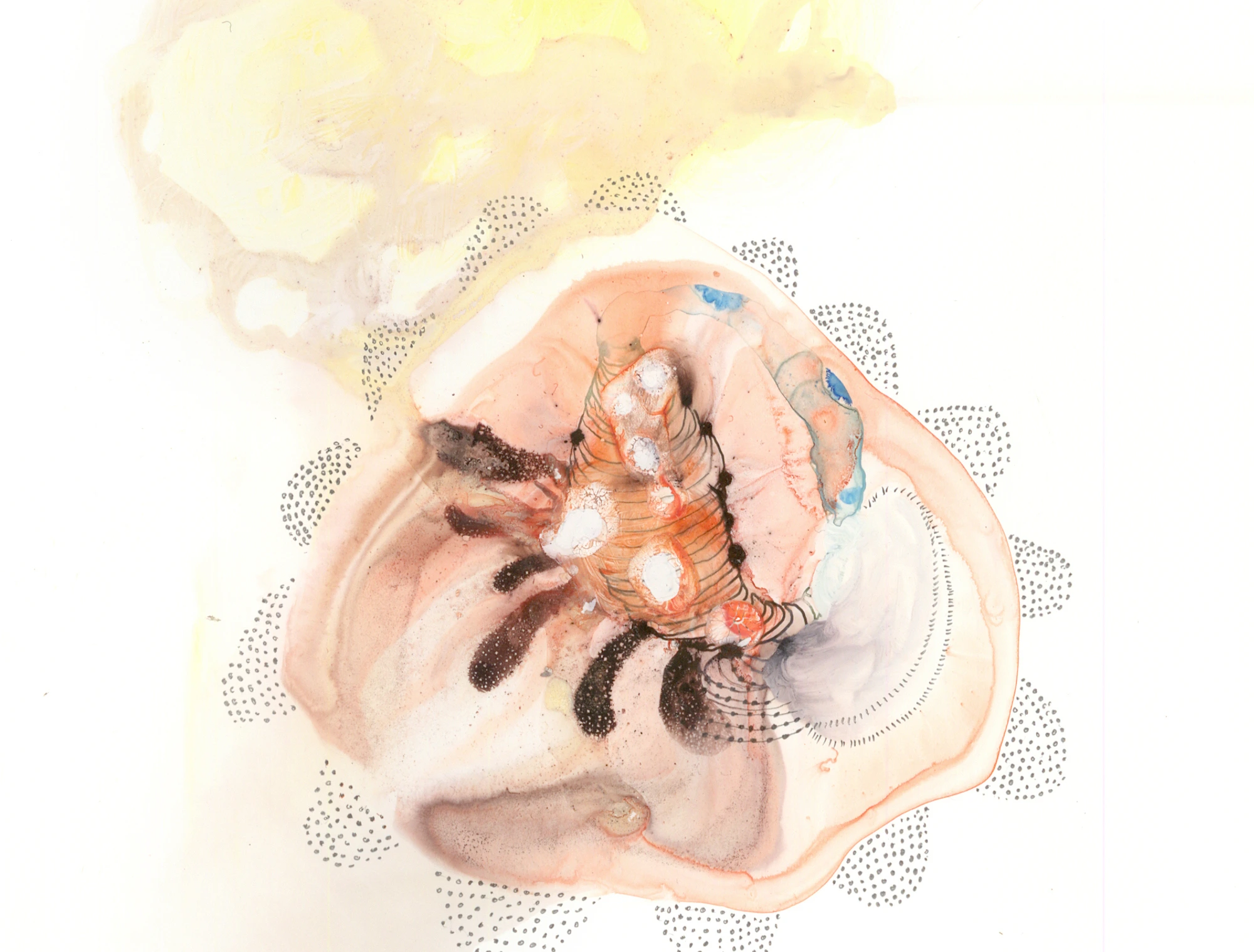 Specimen-5