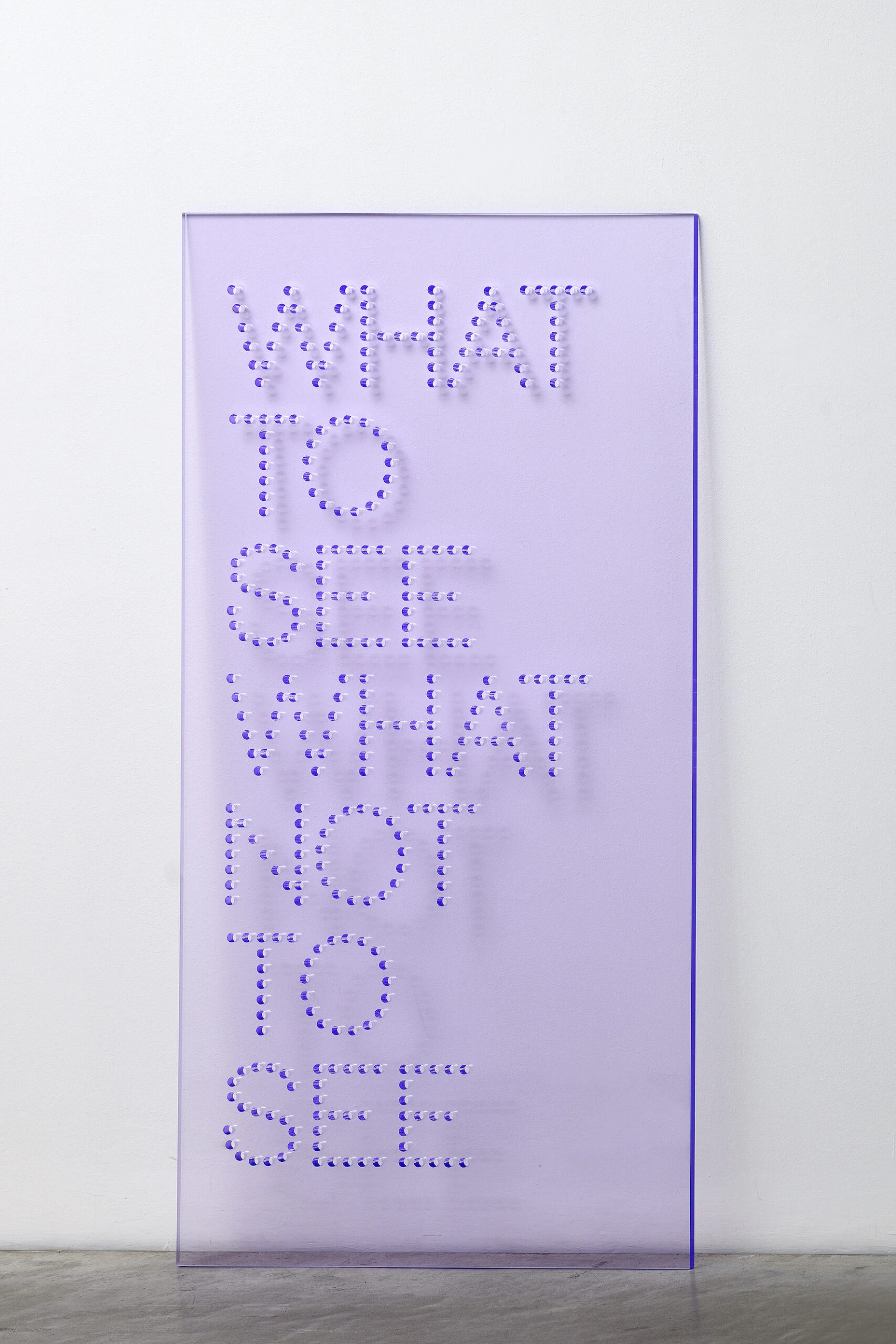 What to see what not to see
