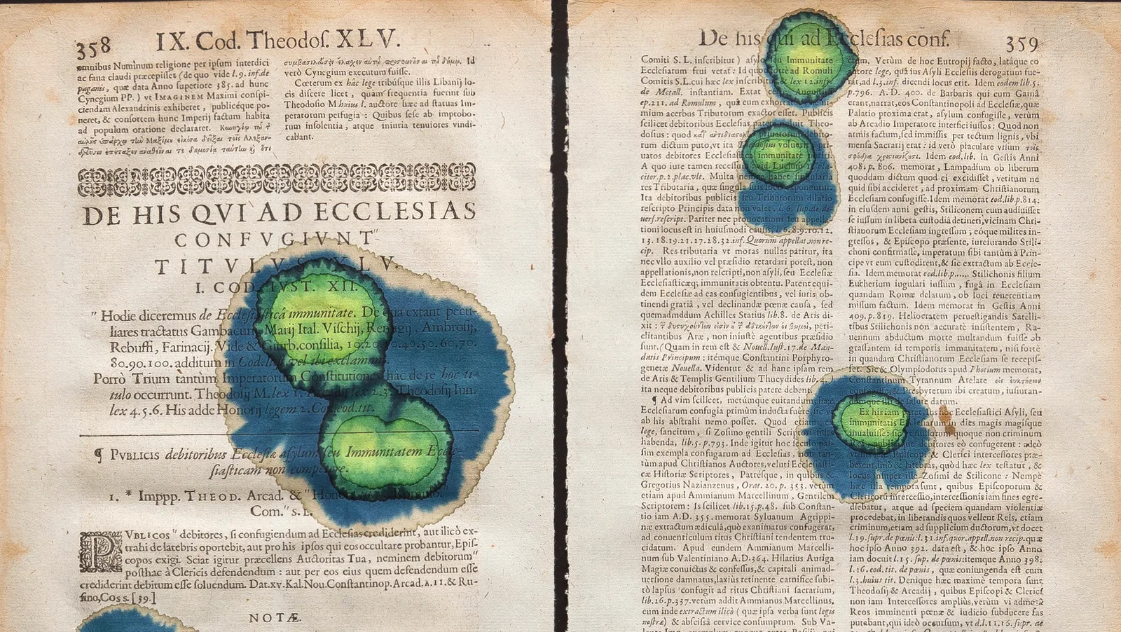 Starfish and Citrus Thorn (Immunity of the church/pretext of the immunity of a church)