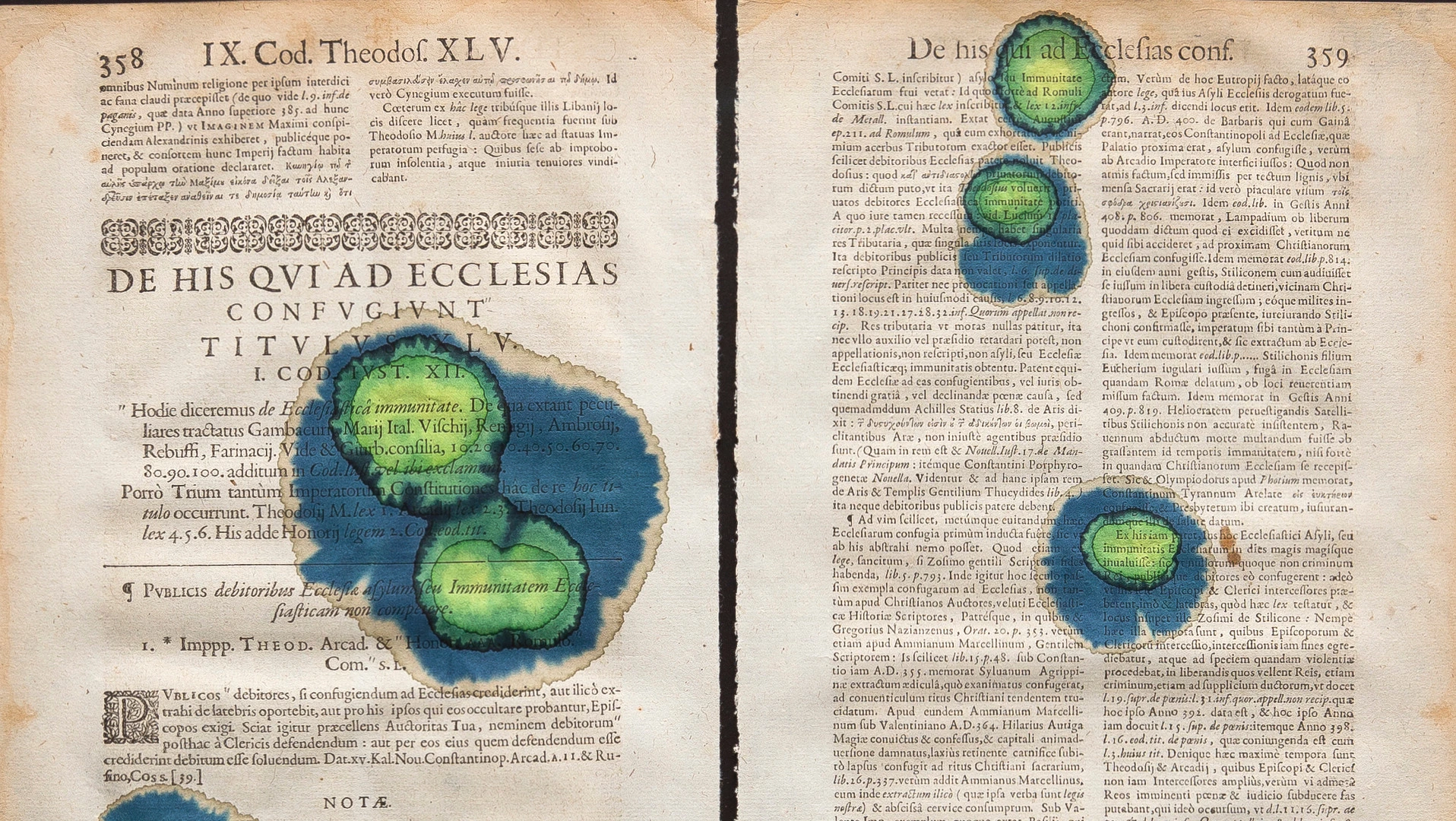 Starfish and Citrus Thorn (Immunity of the church/pretext of the immunity of a church)