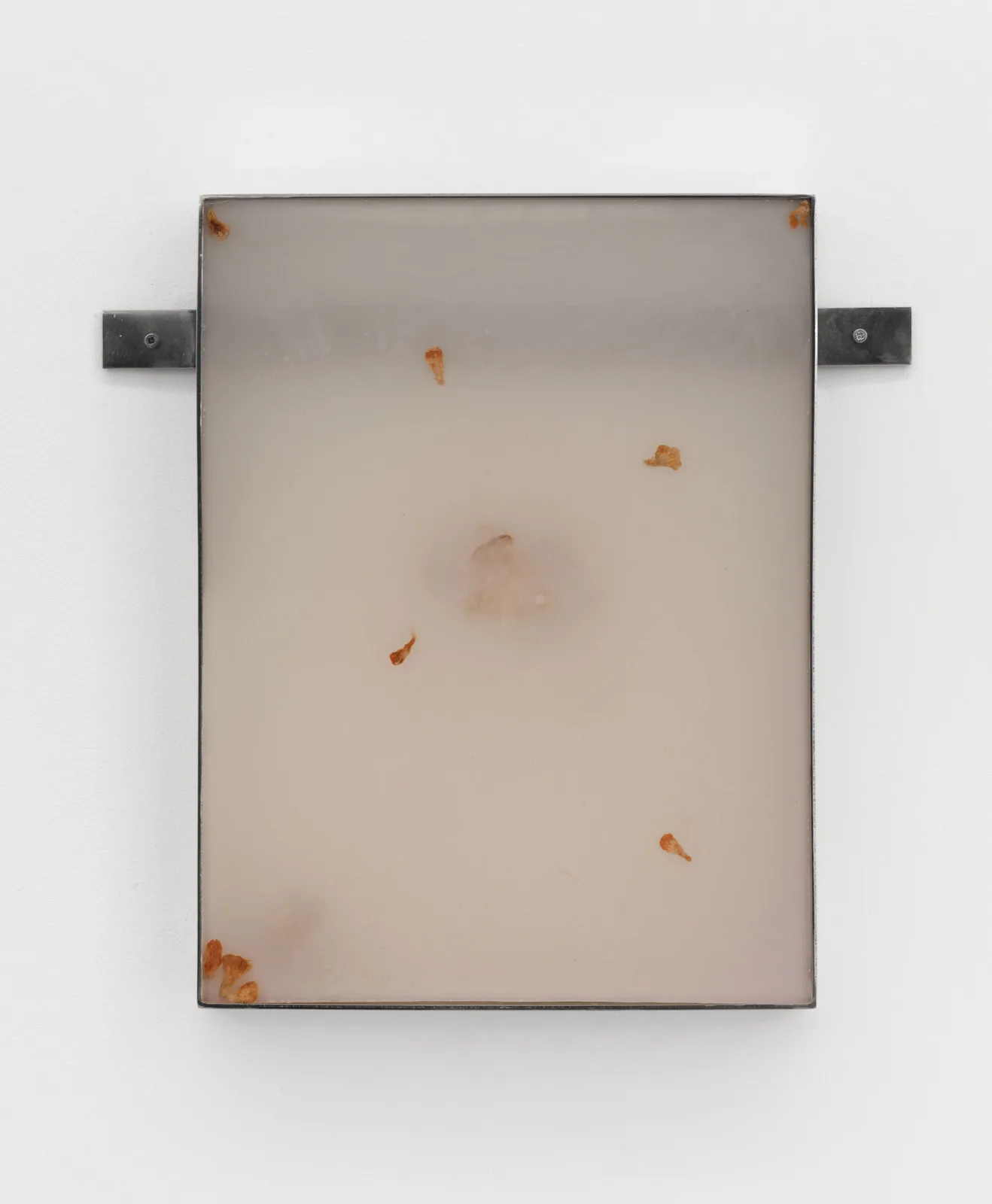 Fruiting Bodies IV (Resin series)