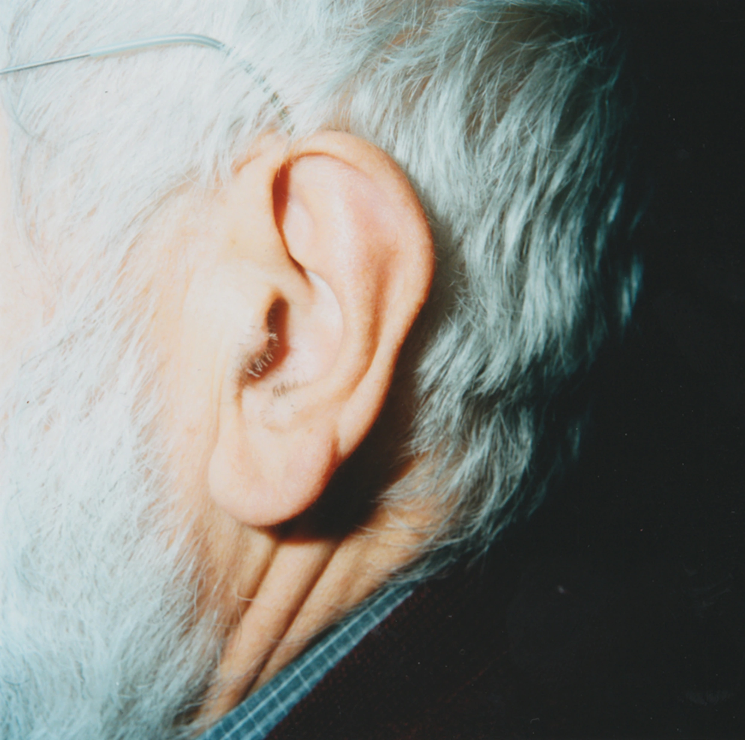 Enzo Mari's ear