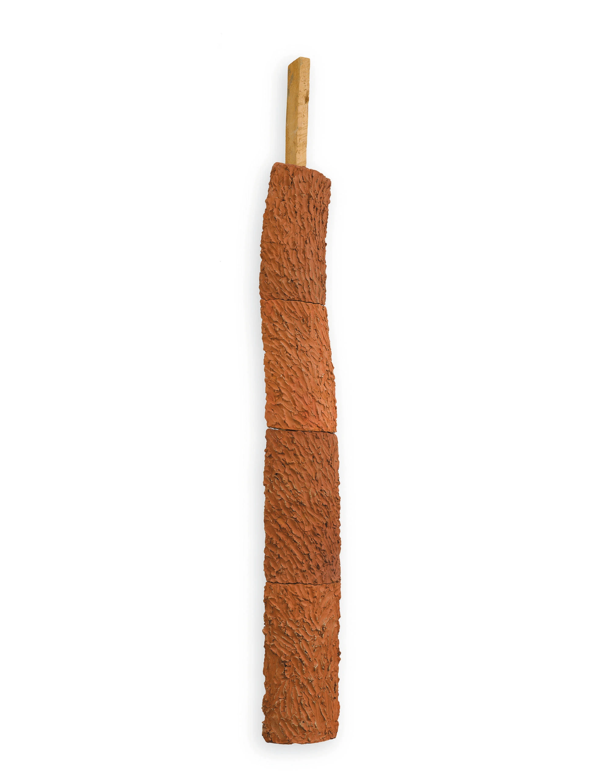 Scorza di terra