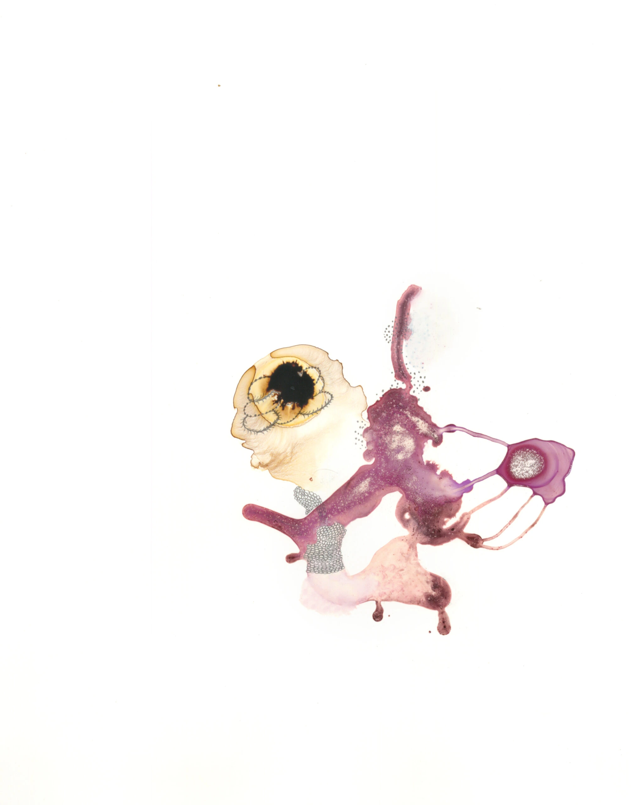 Specimen-6