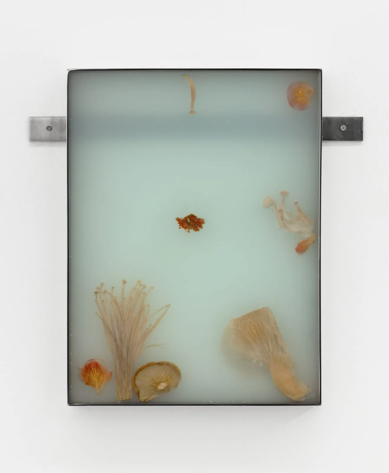 Fruiting Bodies VIII (Resin series)