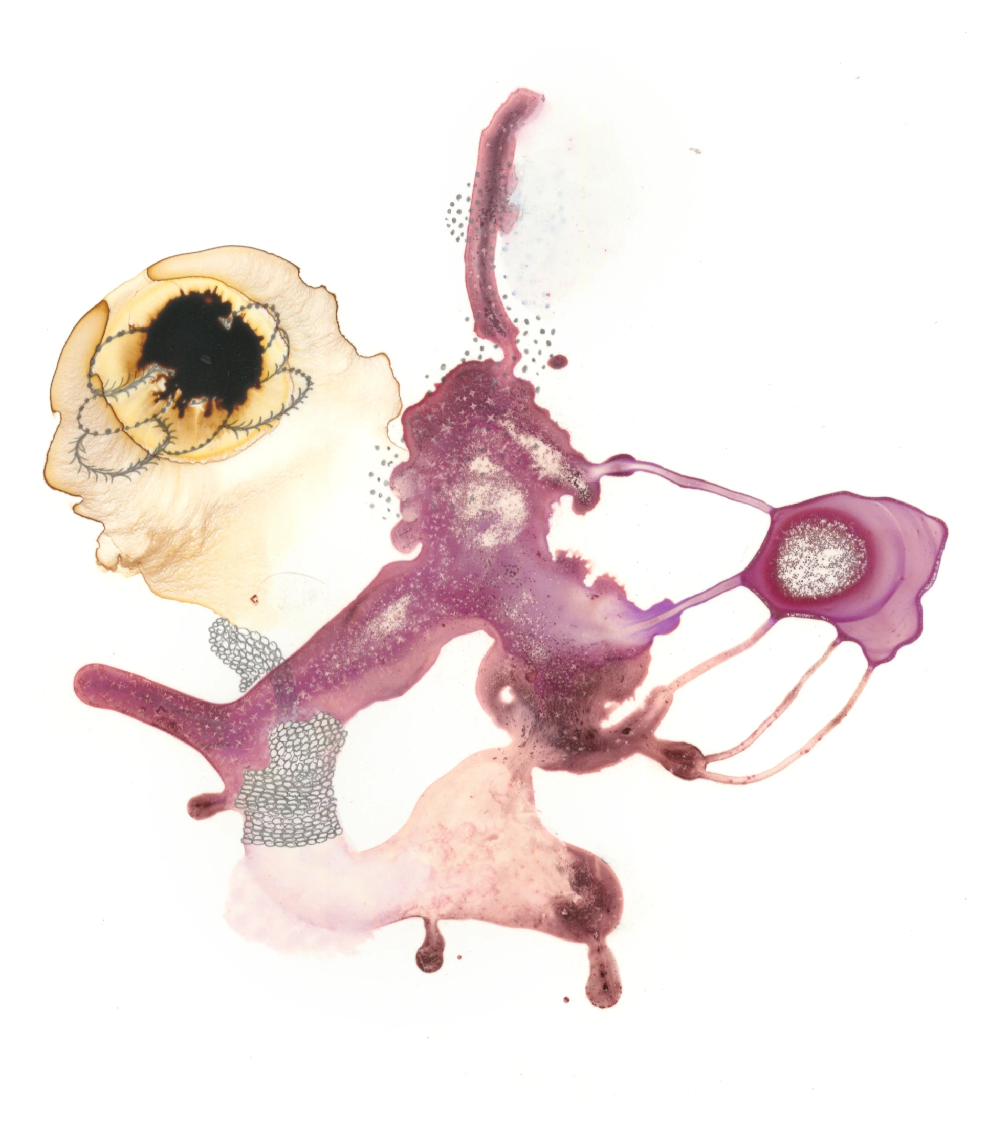 Specimen-6