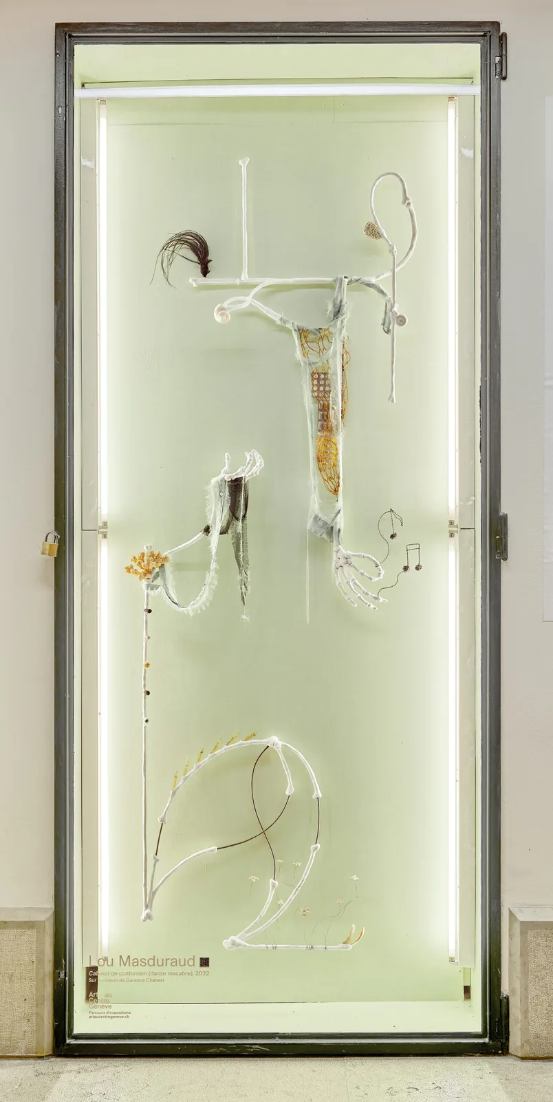 Cabinet de contorison (Danse macabre)