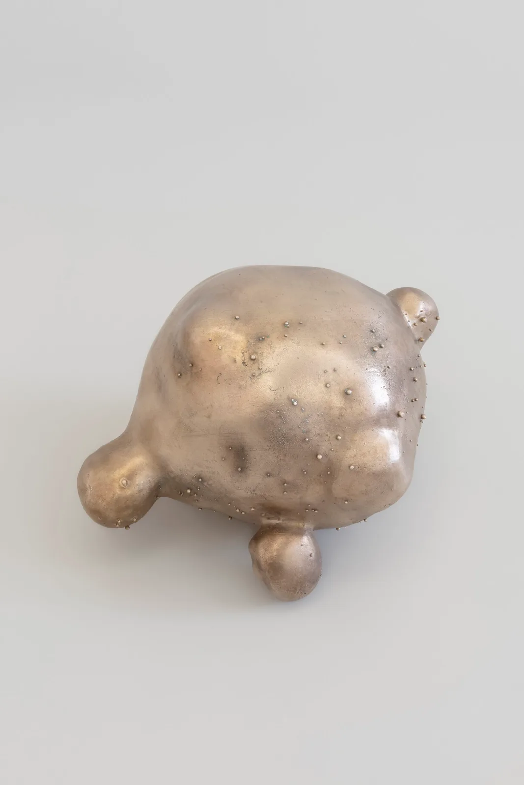 DUST BUDDY