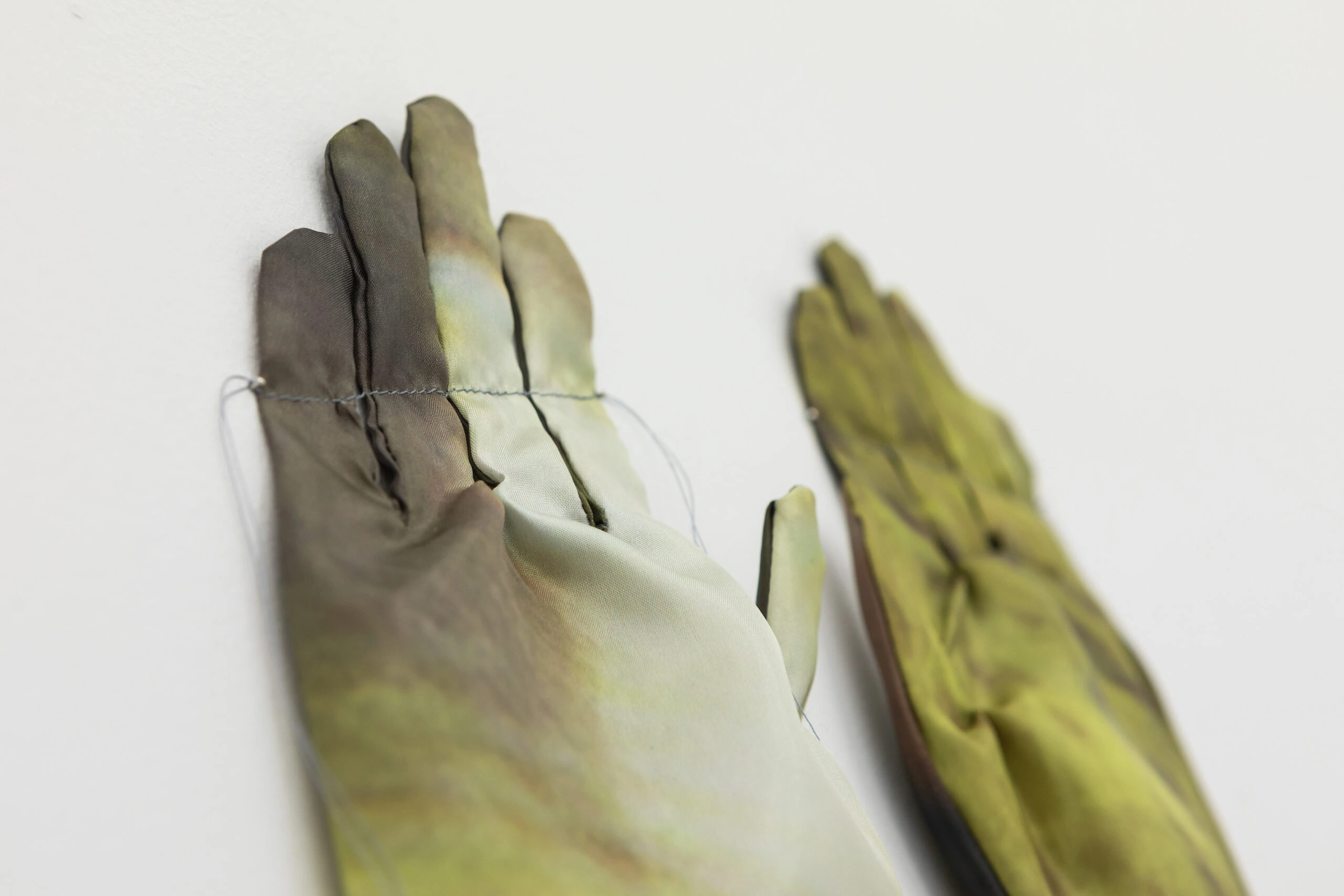 Wing clipping # 2