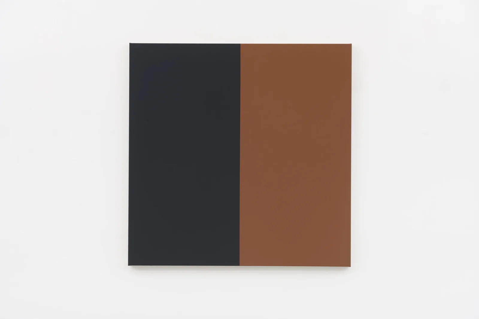Two Halves (Black, Brown)