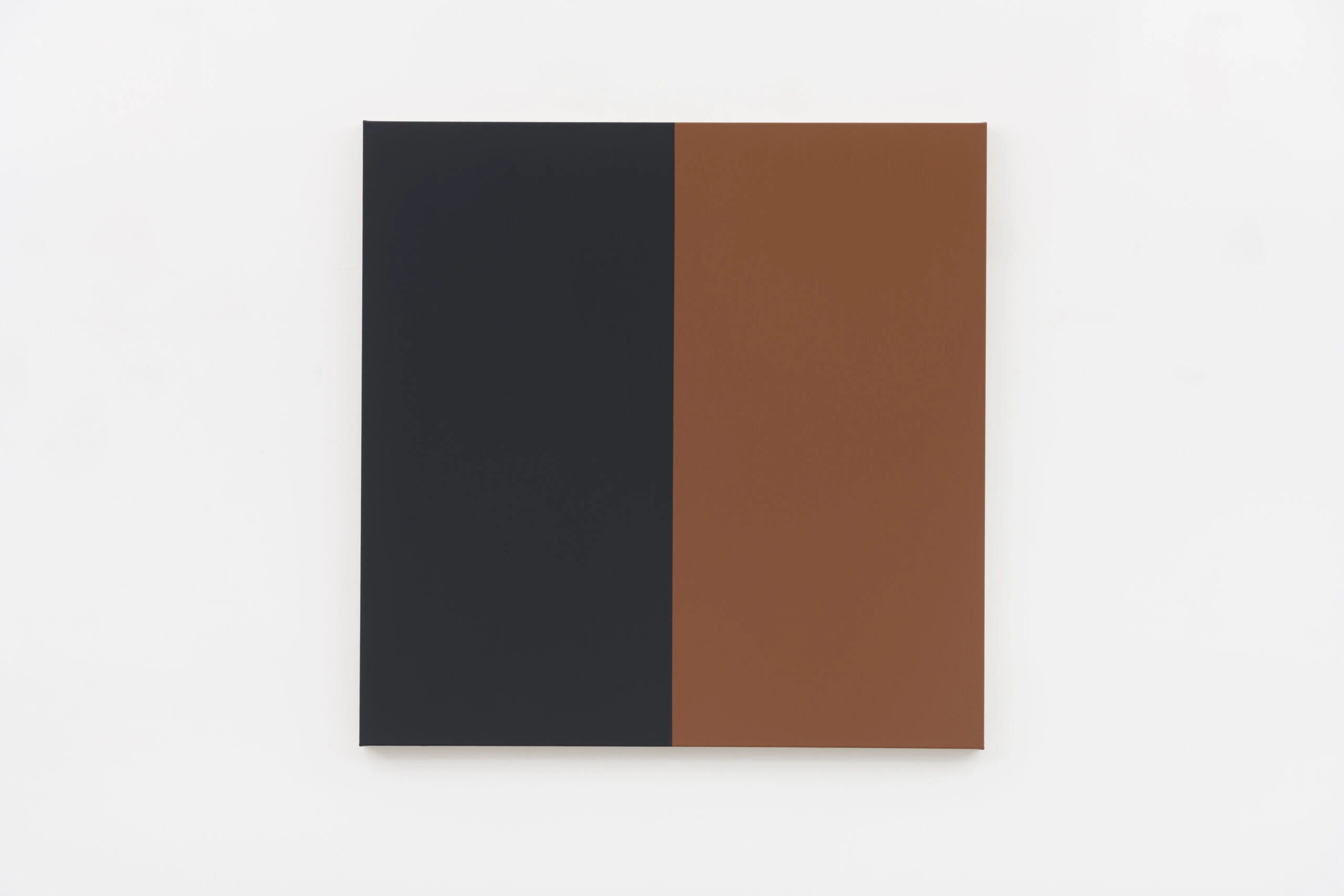 Two Halves (Black, Brown)