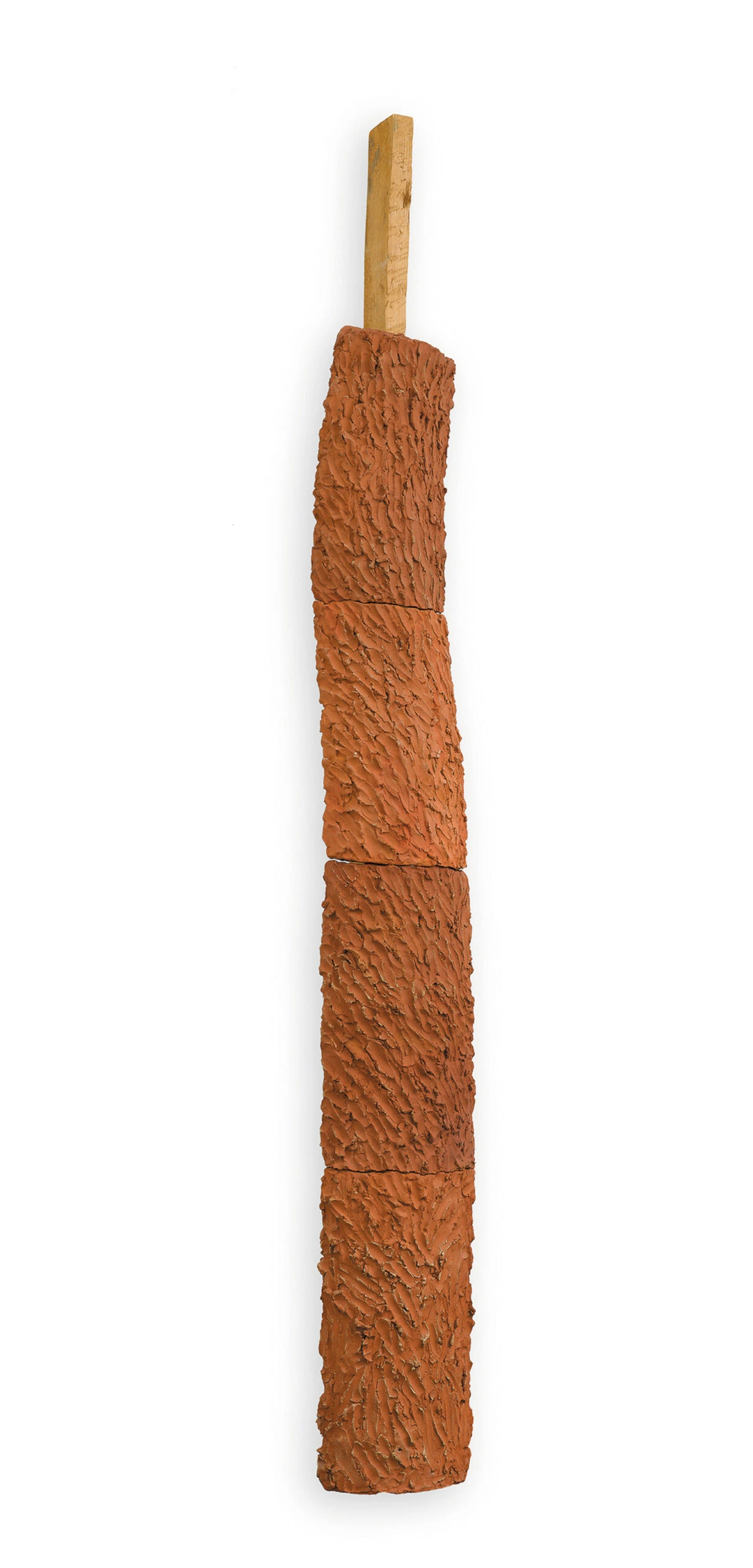 Scorza di terra