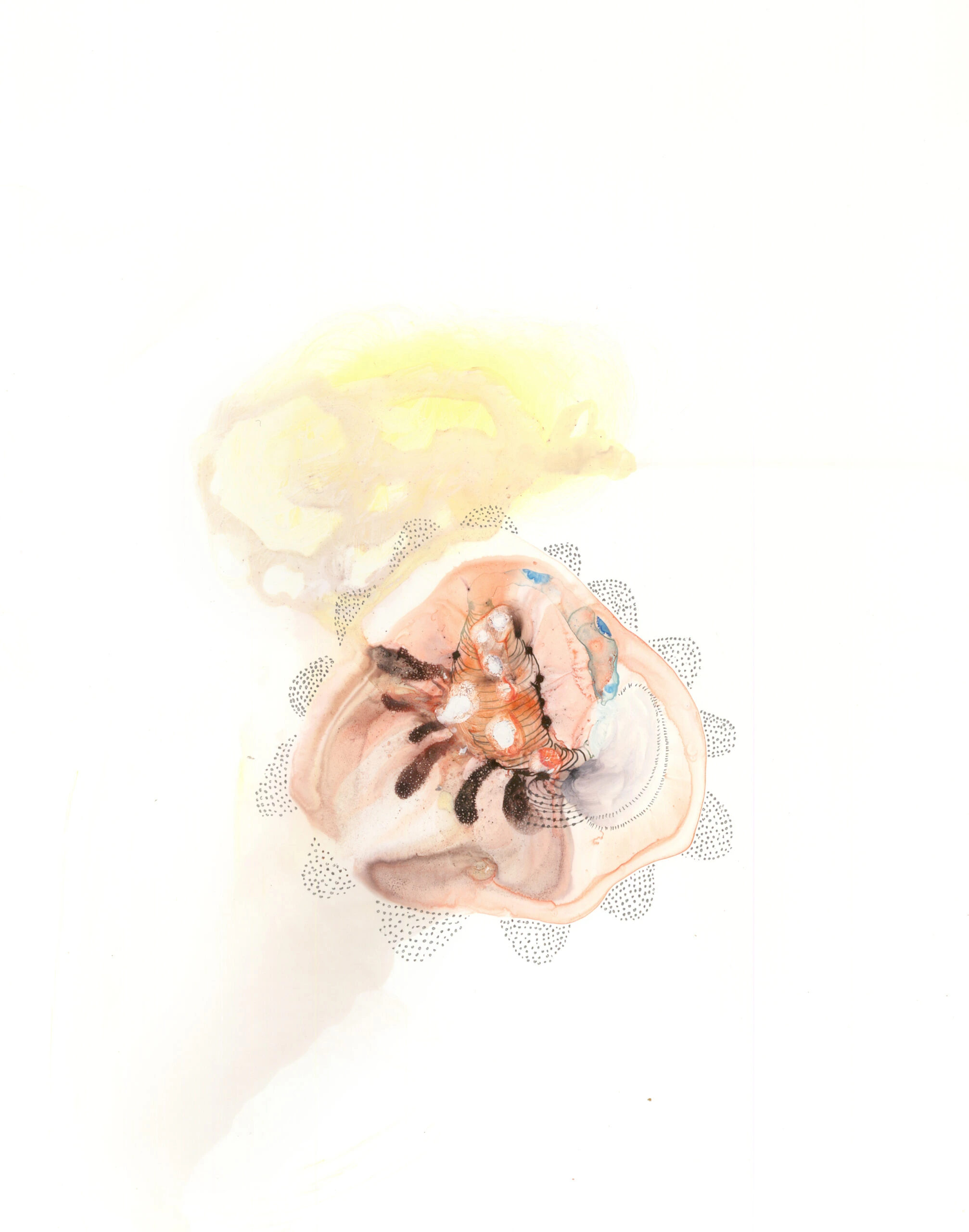 Specimen-5