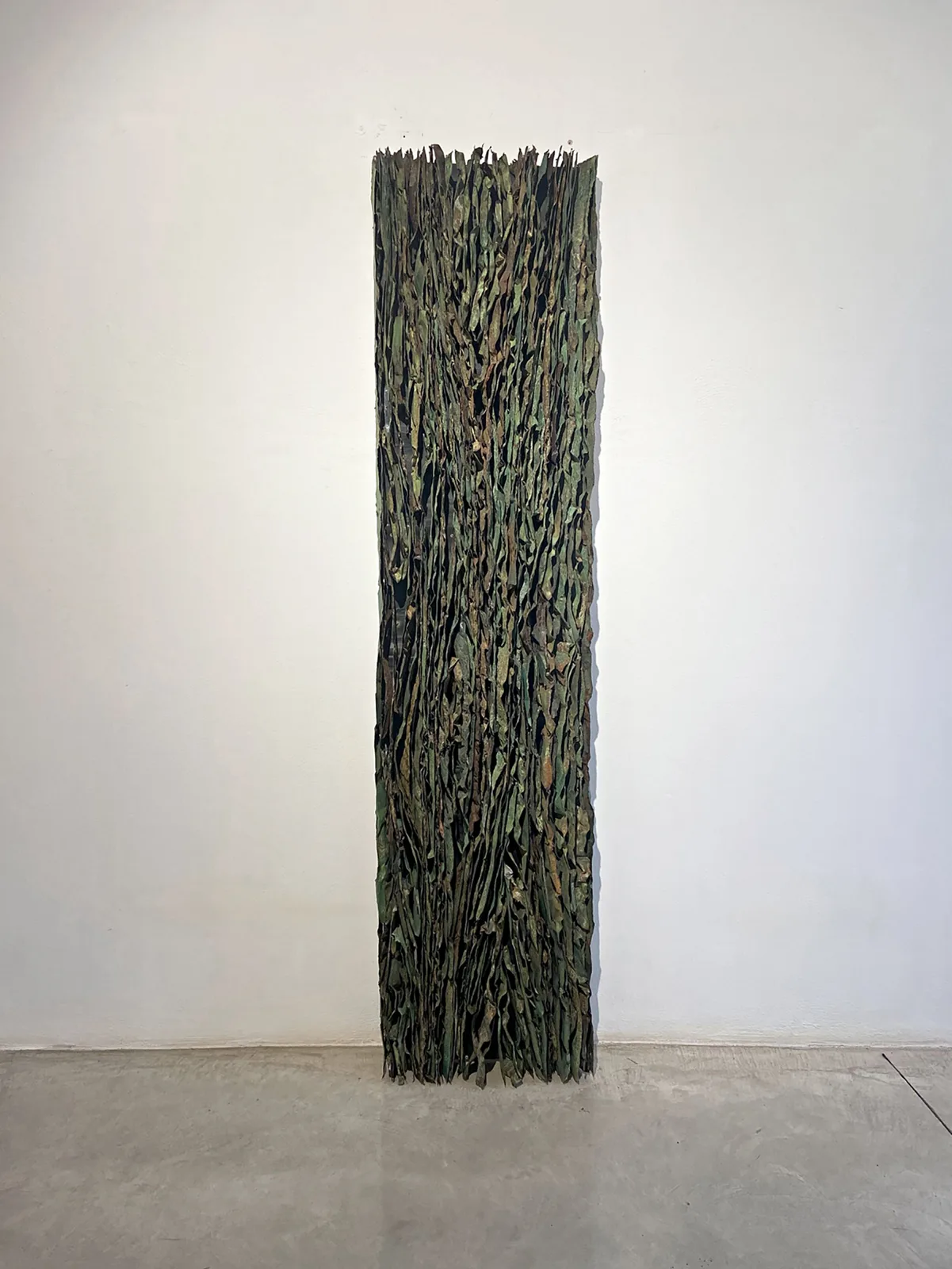 Algae #2
