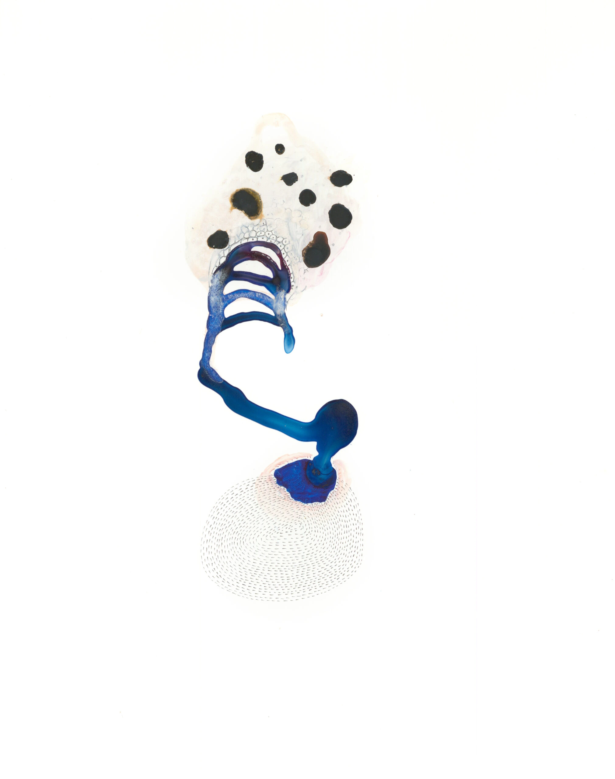 Specimen-4
