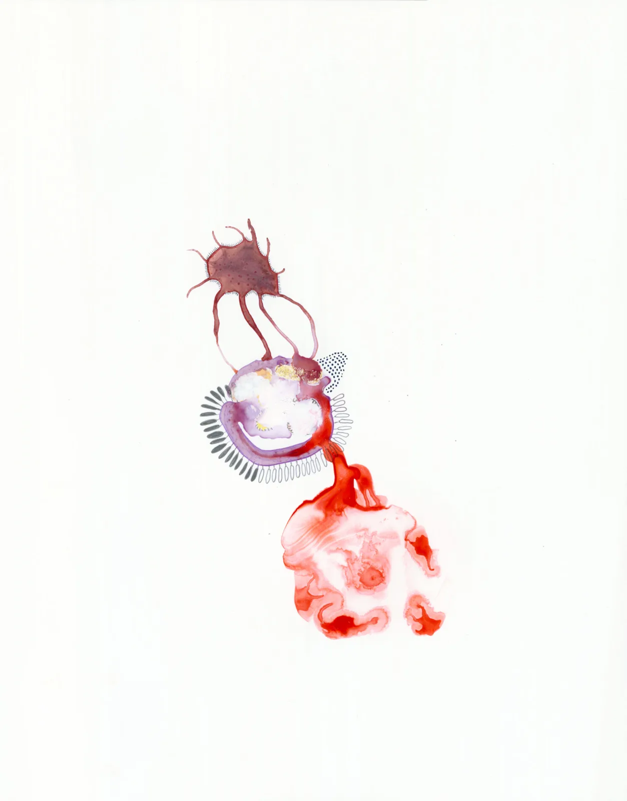 Specimen-9