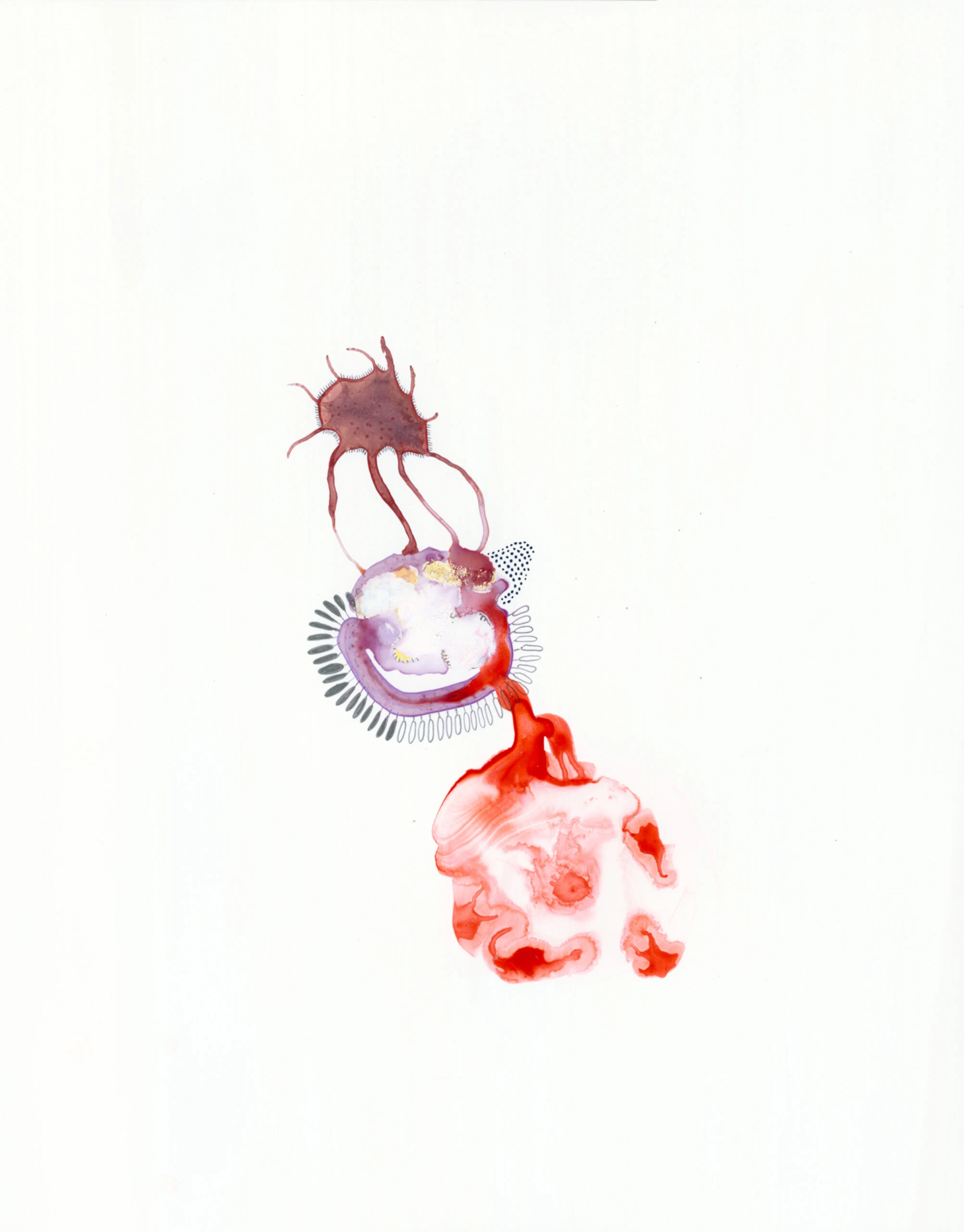 Specimen-9