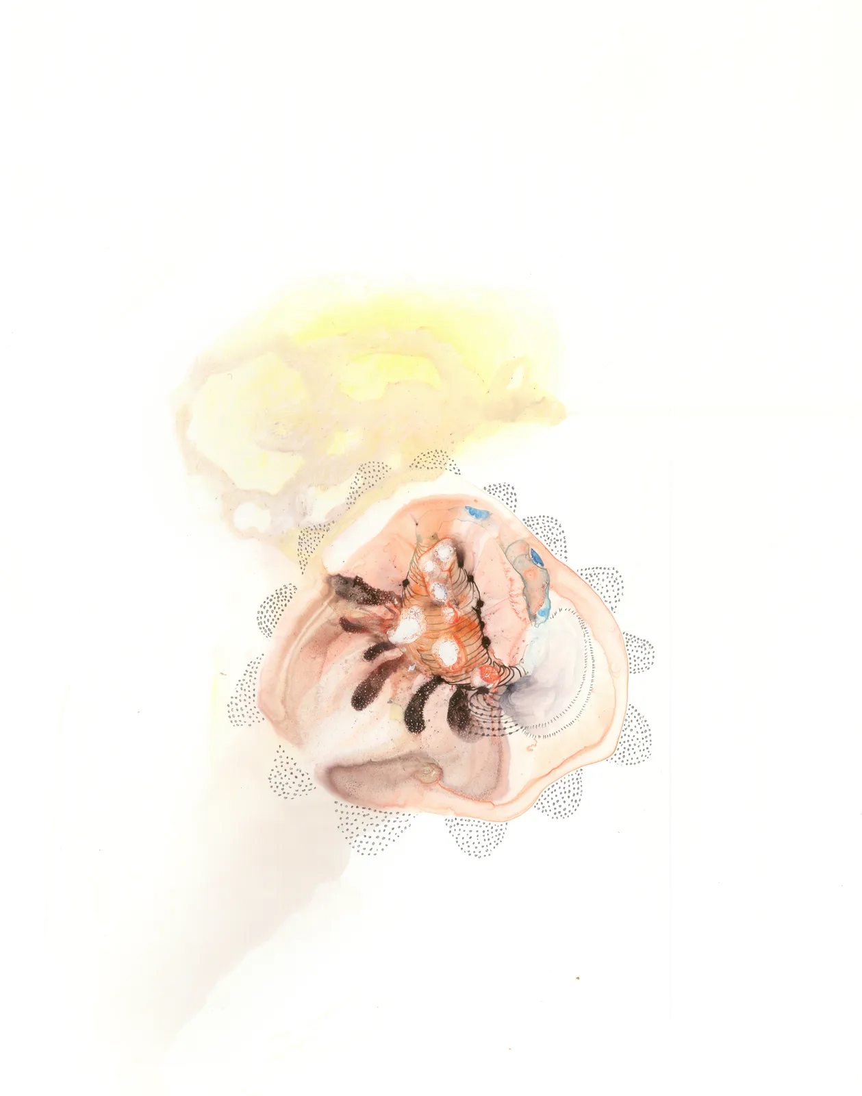 Specimen-5