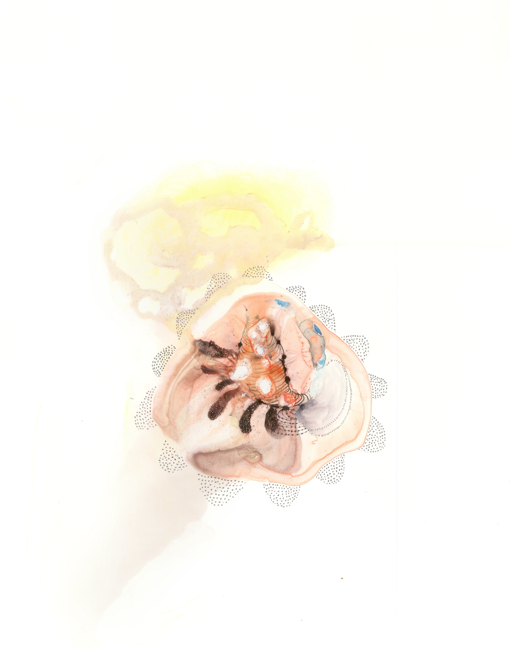Specimen-5