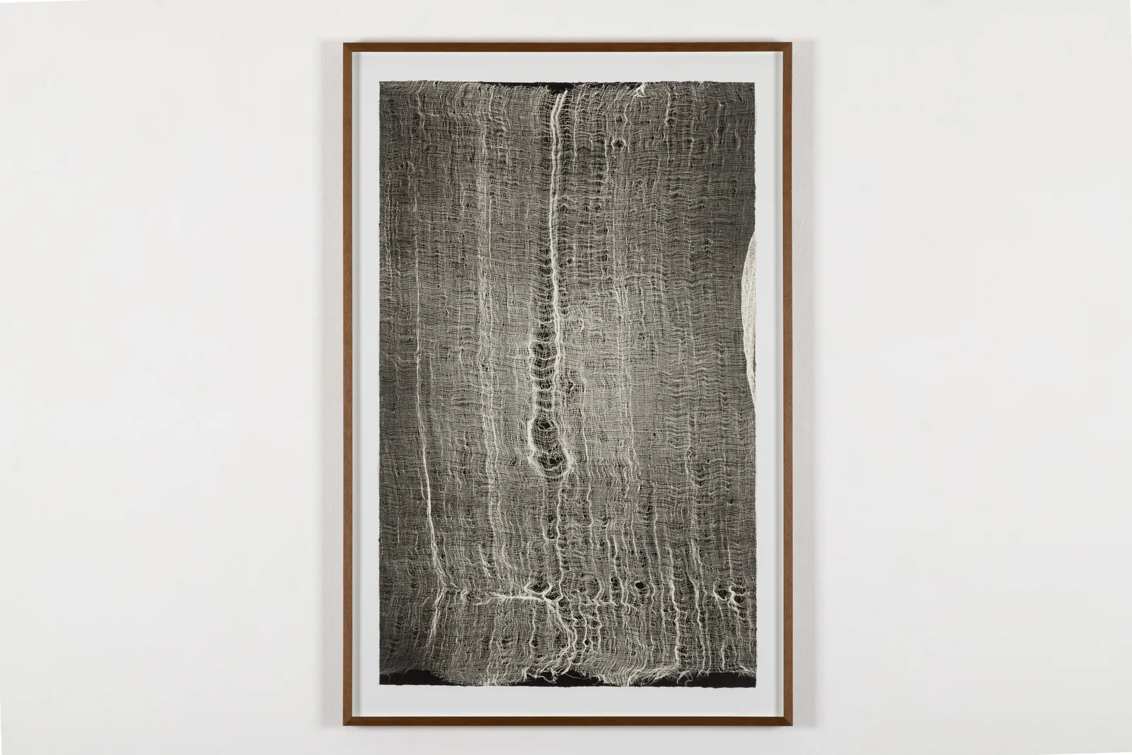 untitled (gauze)