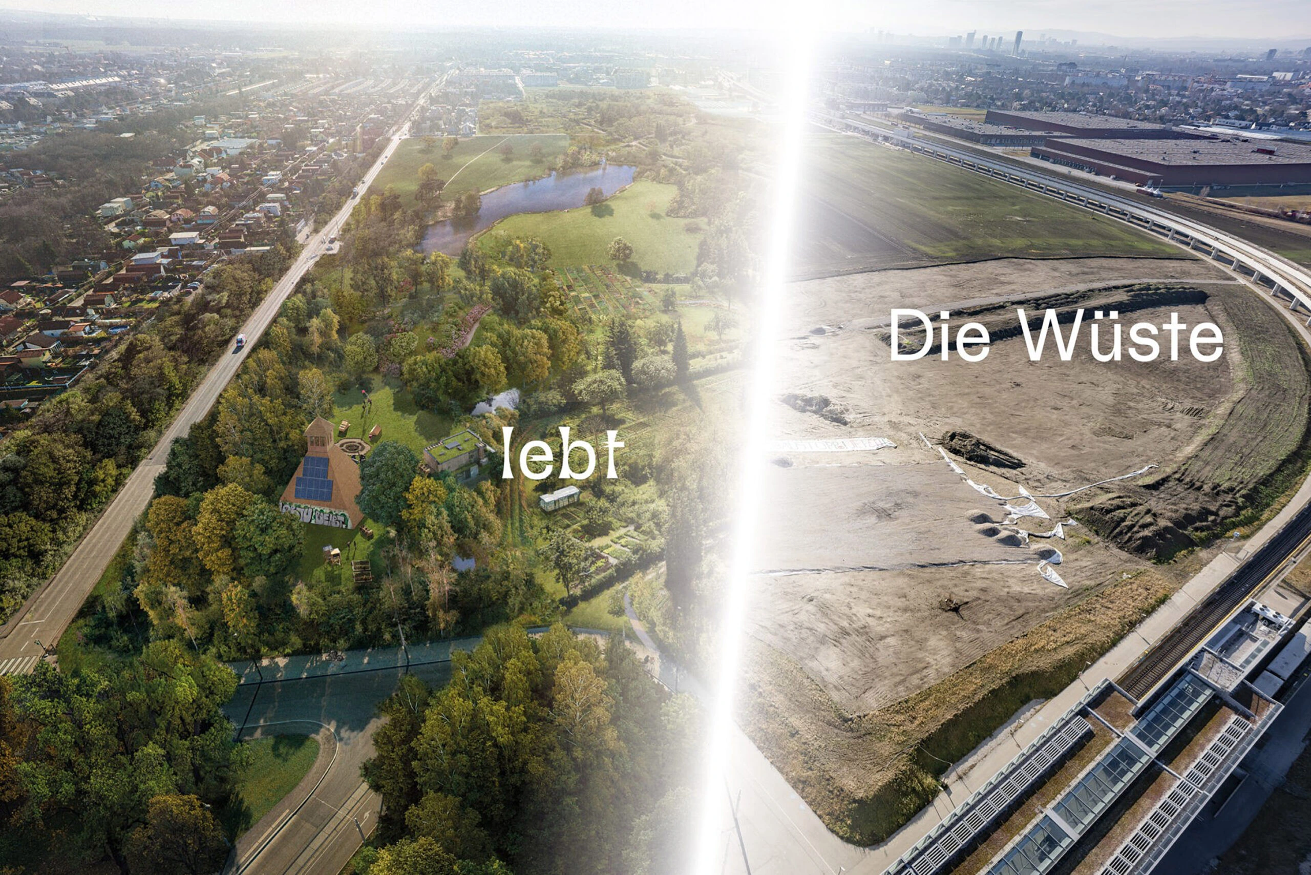 Die Wüste lebt