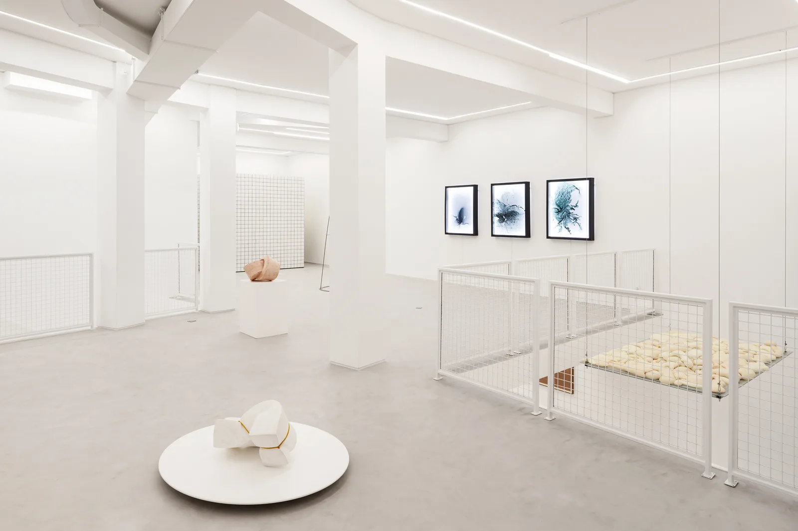 Galeria Foco
