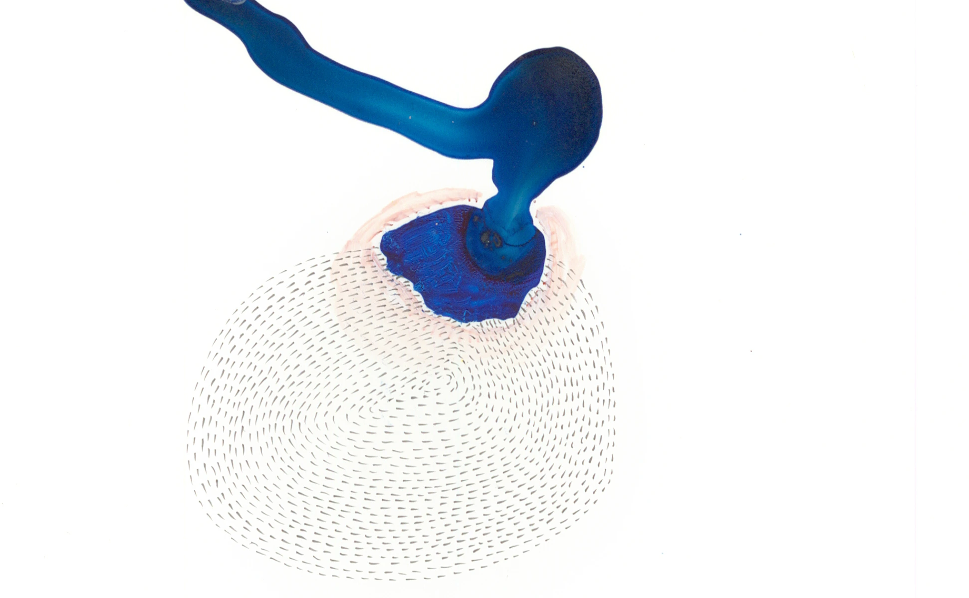 Specimen-4