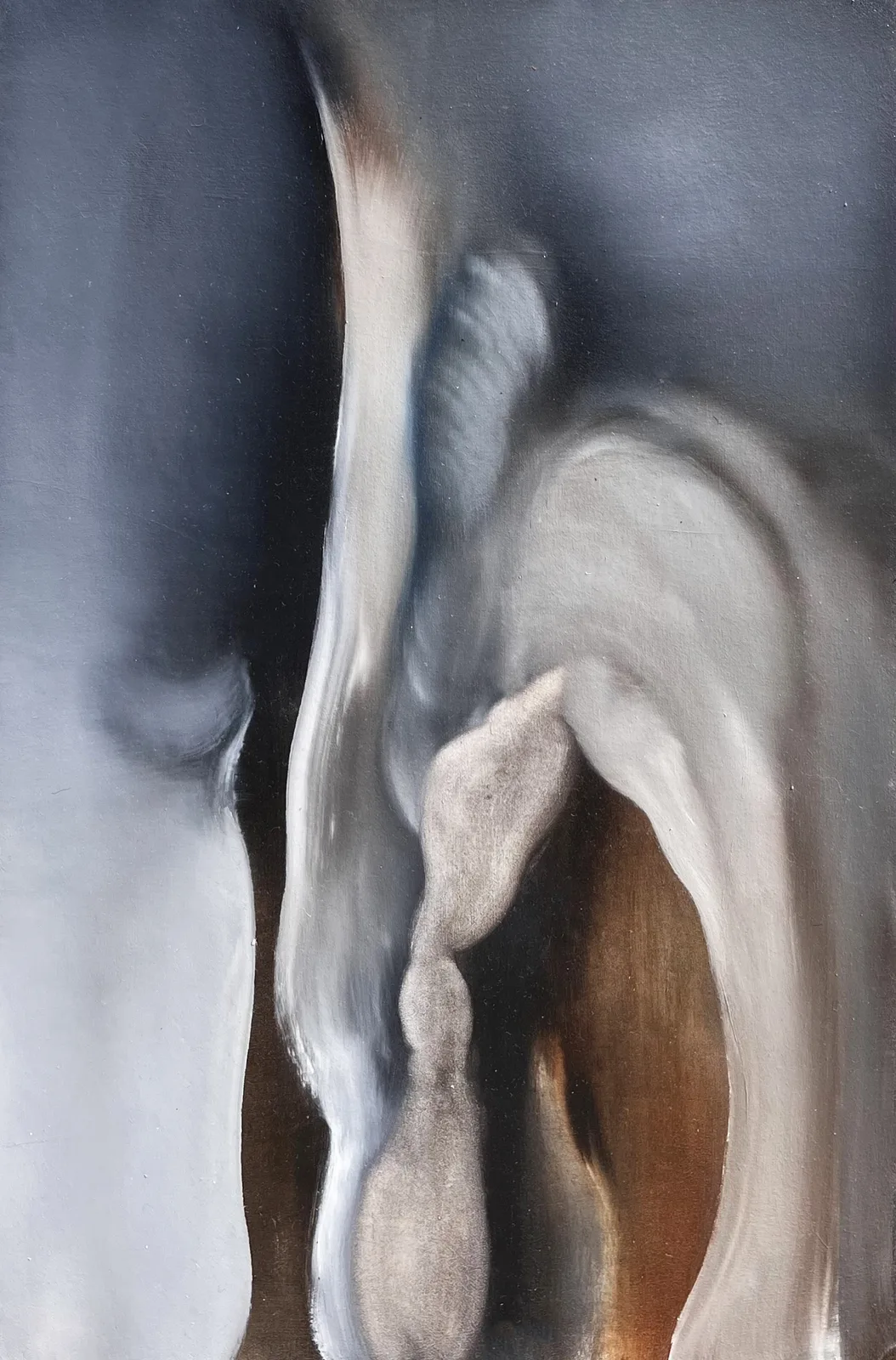 Swan's dream