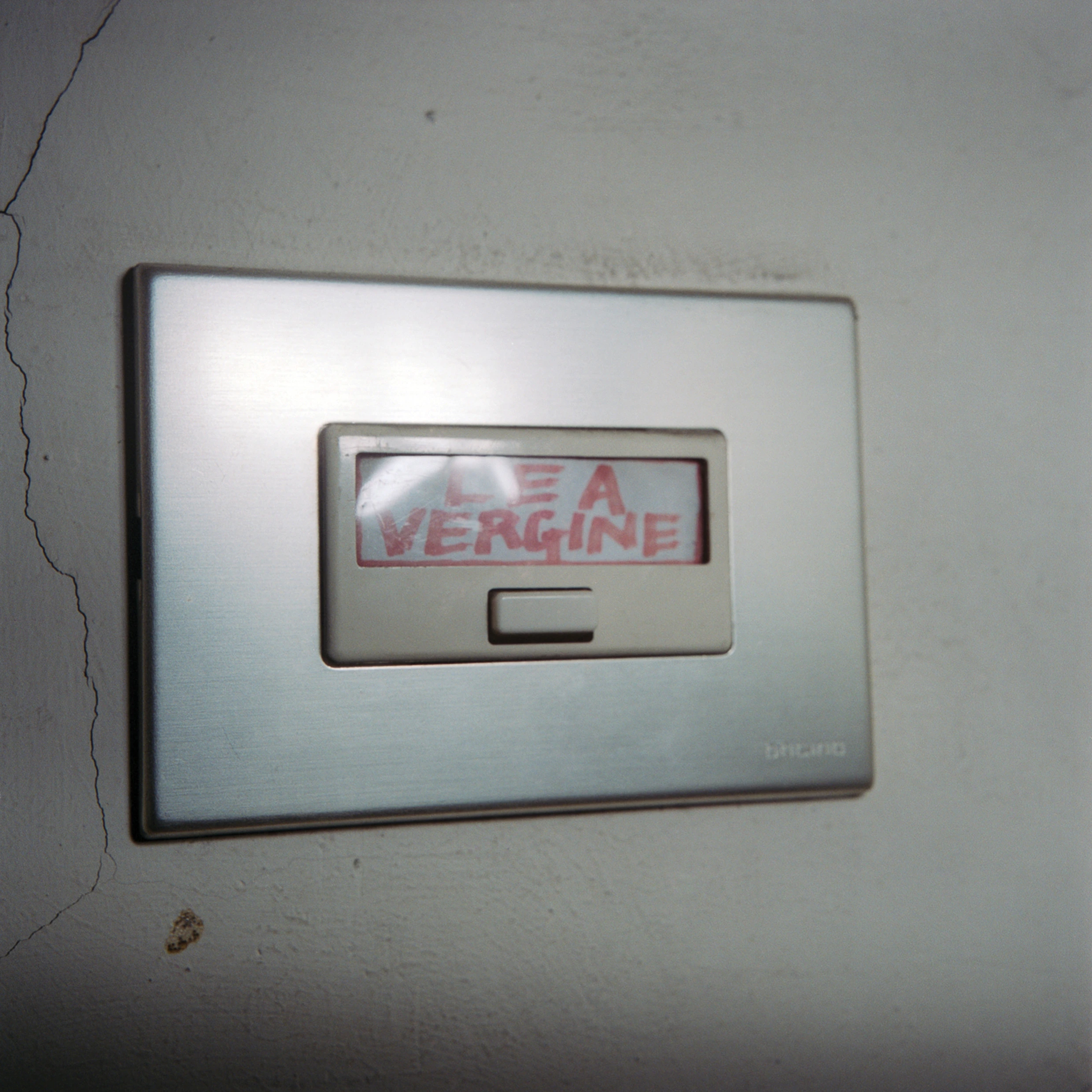 Lea Vergine