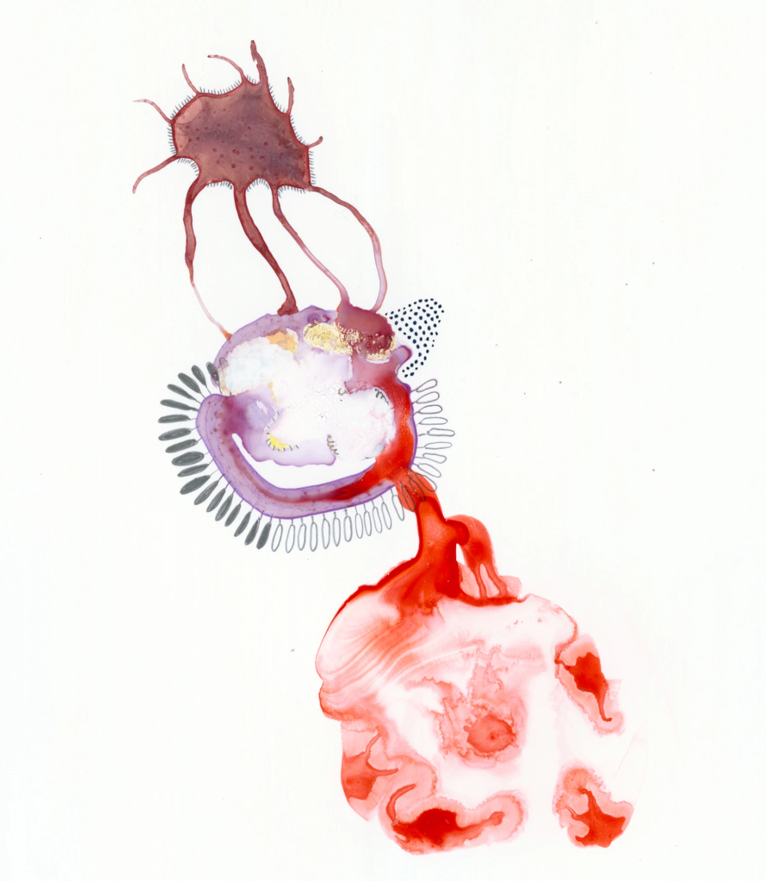 Specimen-9