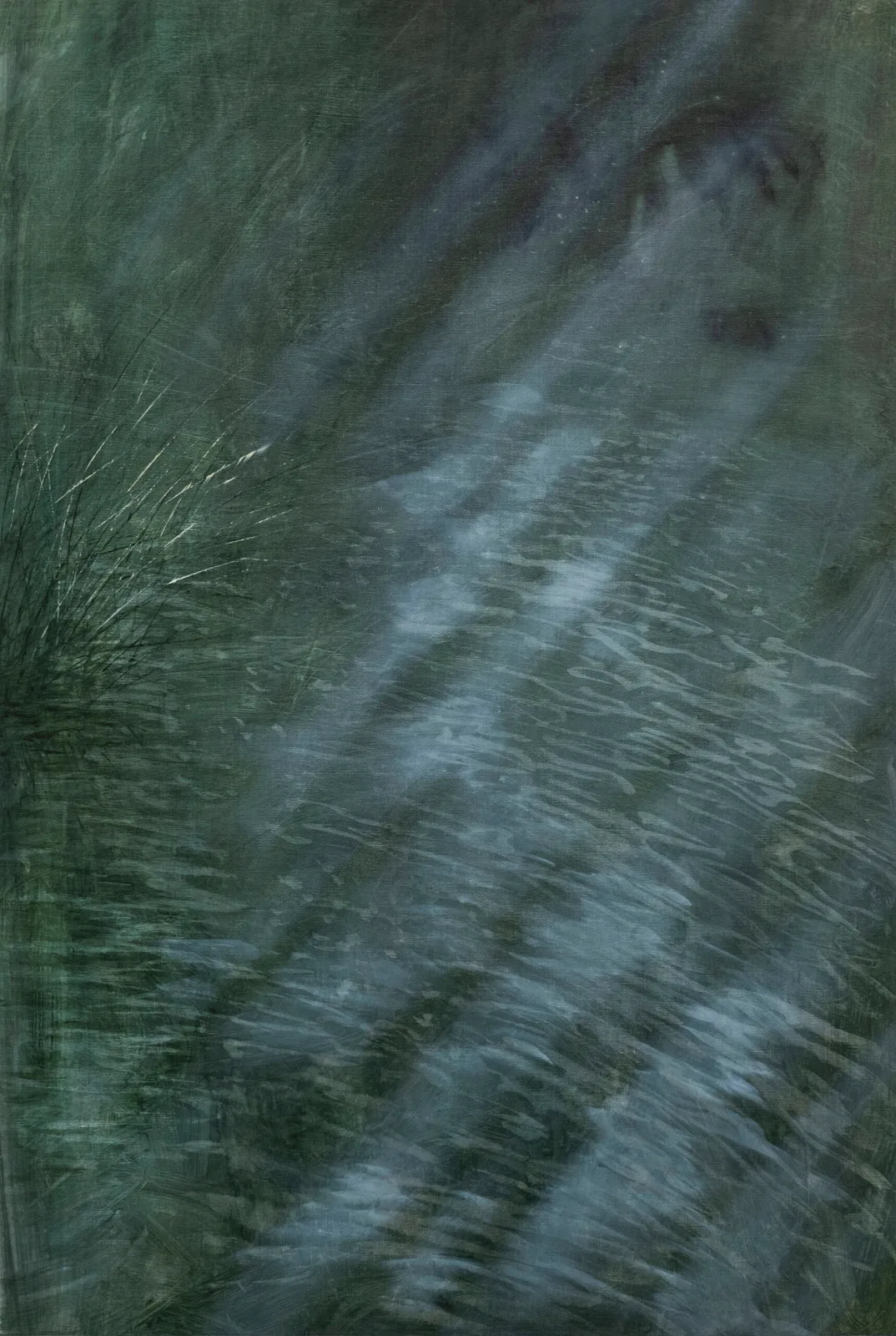 D'inverno, lo stagno