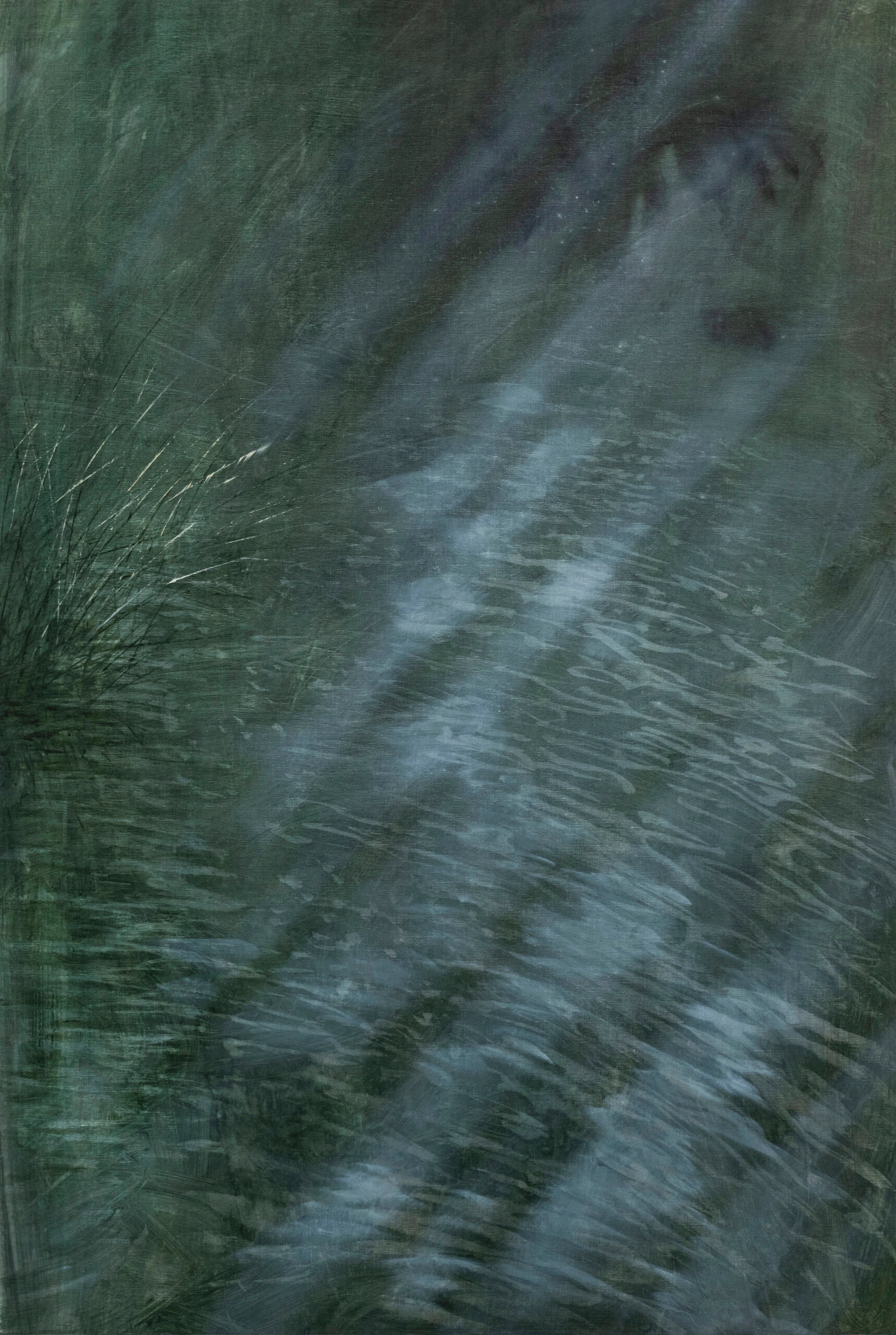 D'inverno, lo stagno